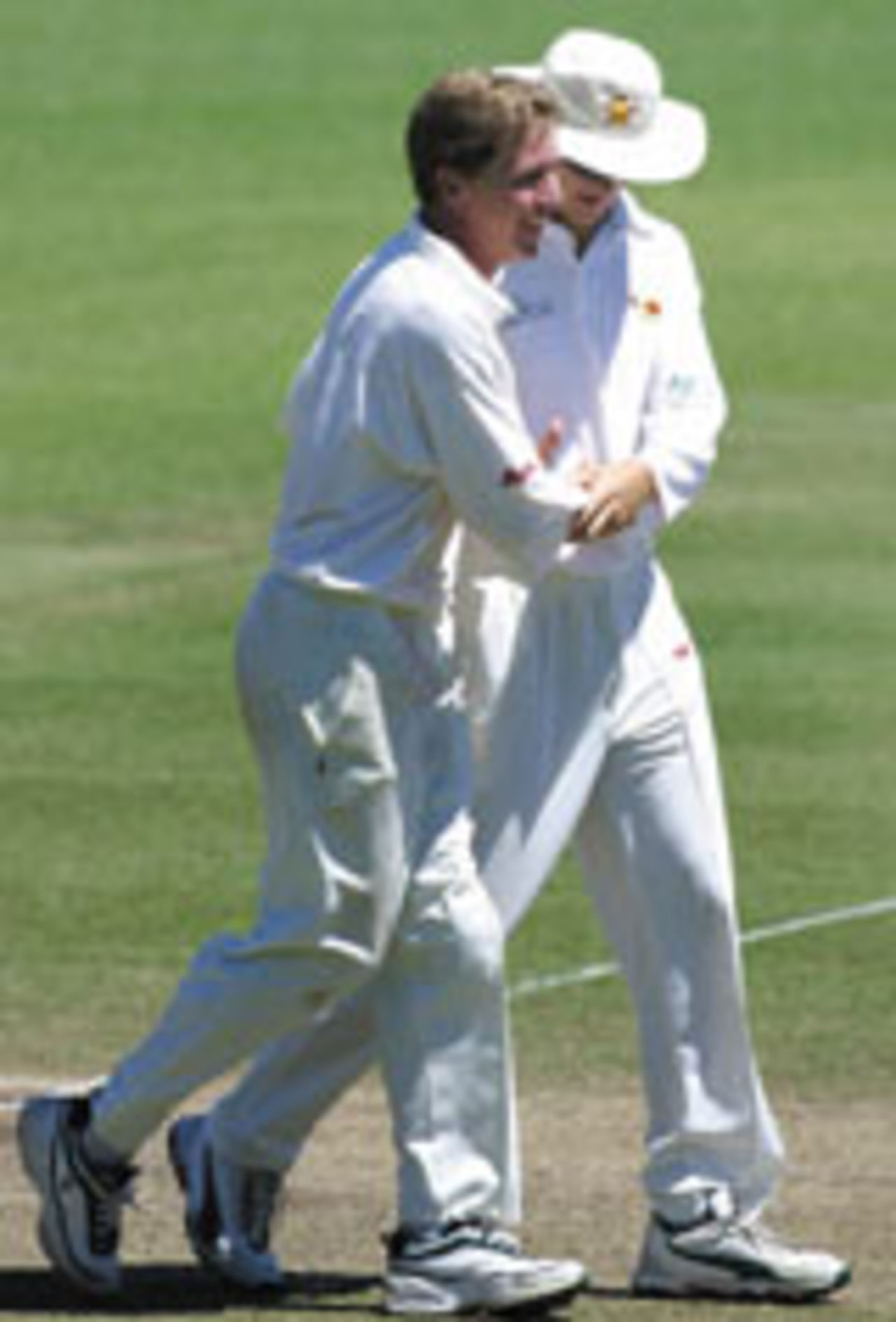 Ray Price congratulated after taking the wicket of Ricky Ponting, Australia v Zimbabwe, 2nd Test, Sydney, 3rd day, October 19, 2003