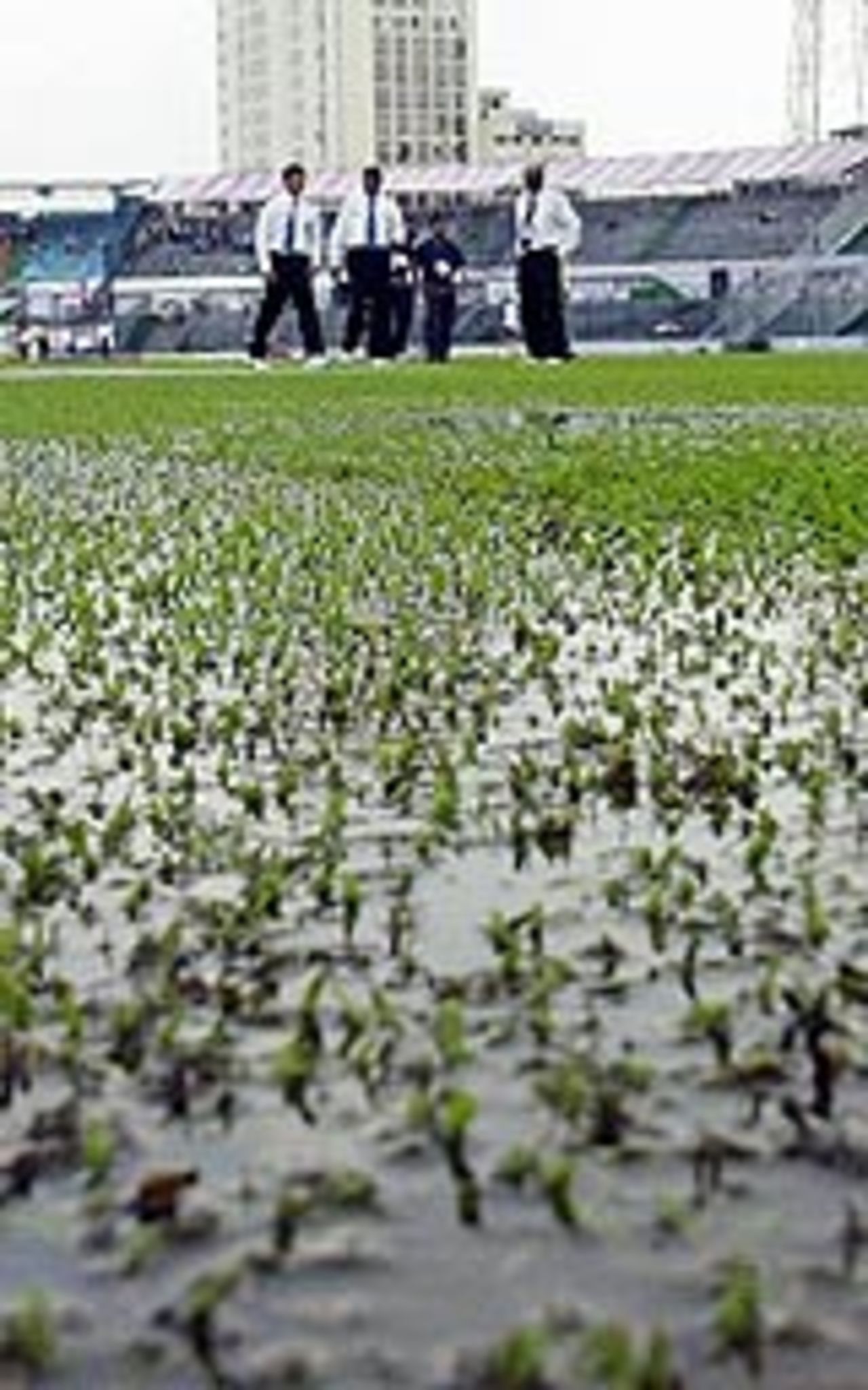 The umpires stage an inspection of the Dhaka ground after the deluge