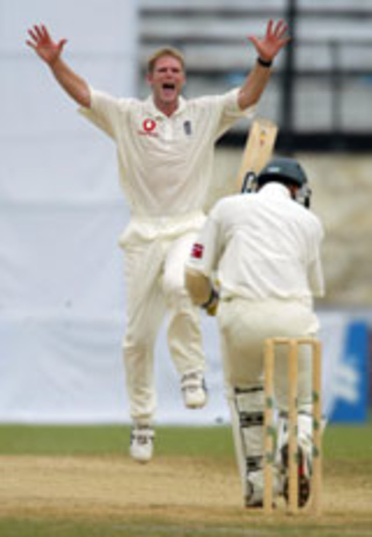 Matthew Hoggard celebrates Enamul Haque's wicket, Bangladesh v England, 1st Test, Dhaka, October 25, 2003