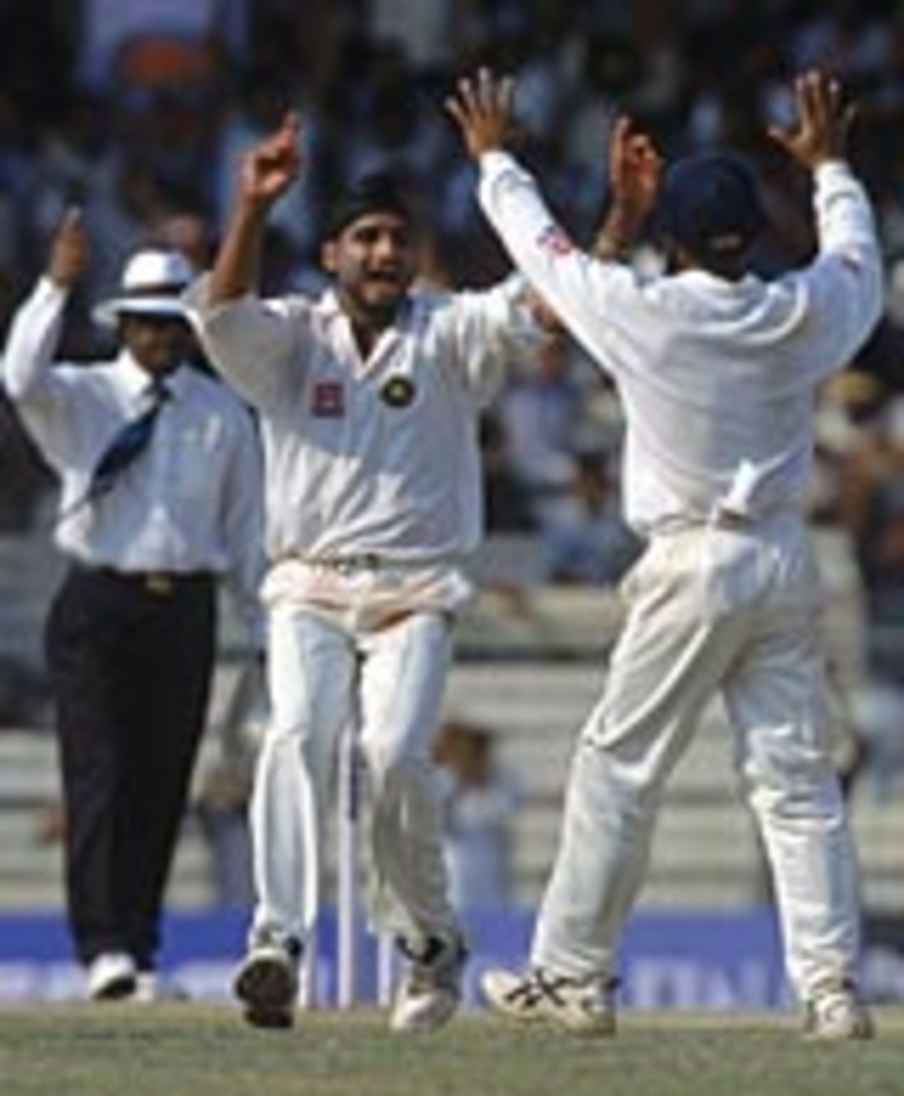 Harbhajan Singh takes a wicket against Australia, Chennai, March 2001