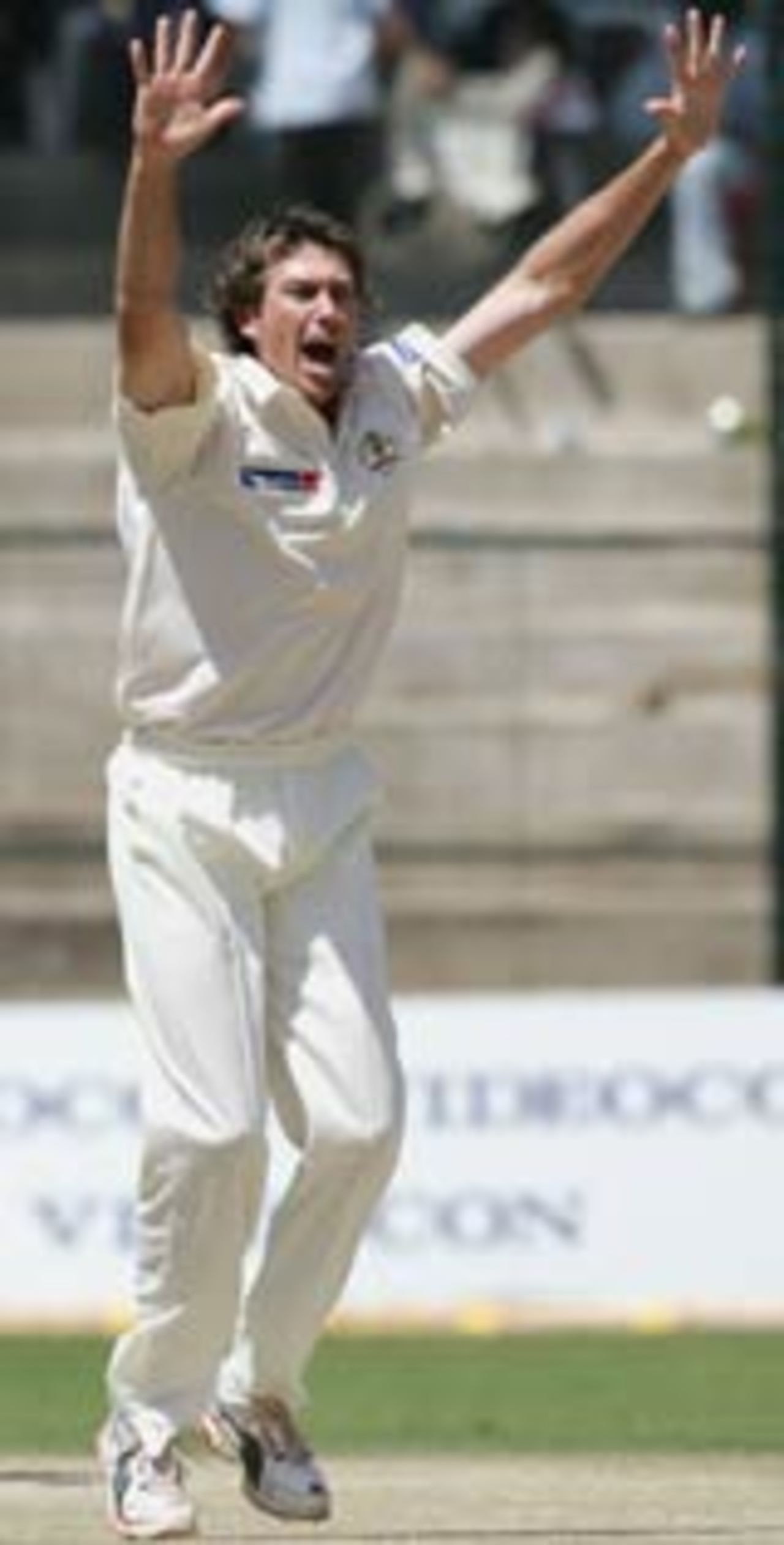 Glenn McGrath struck early, Australia v India, 1st Test, Bangalore, 1st day, October 7, 2004