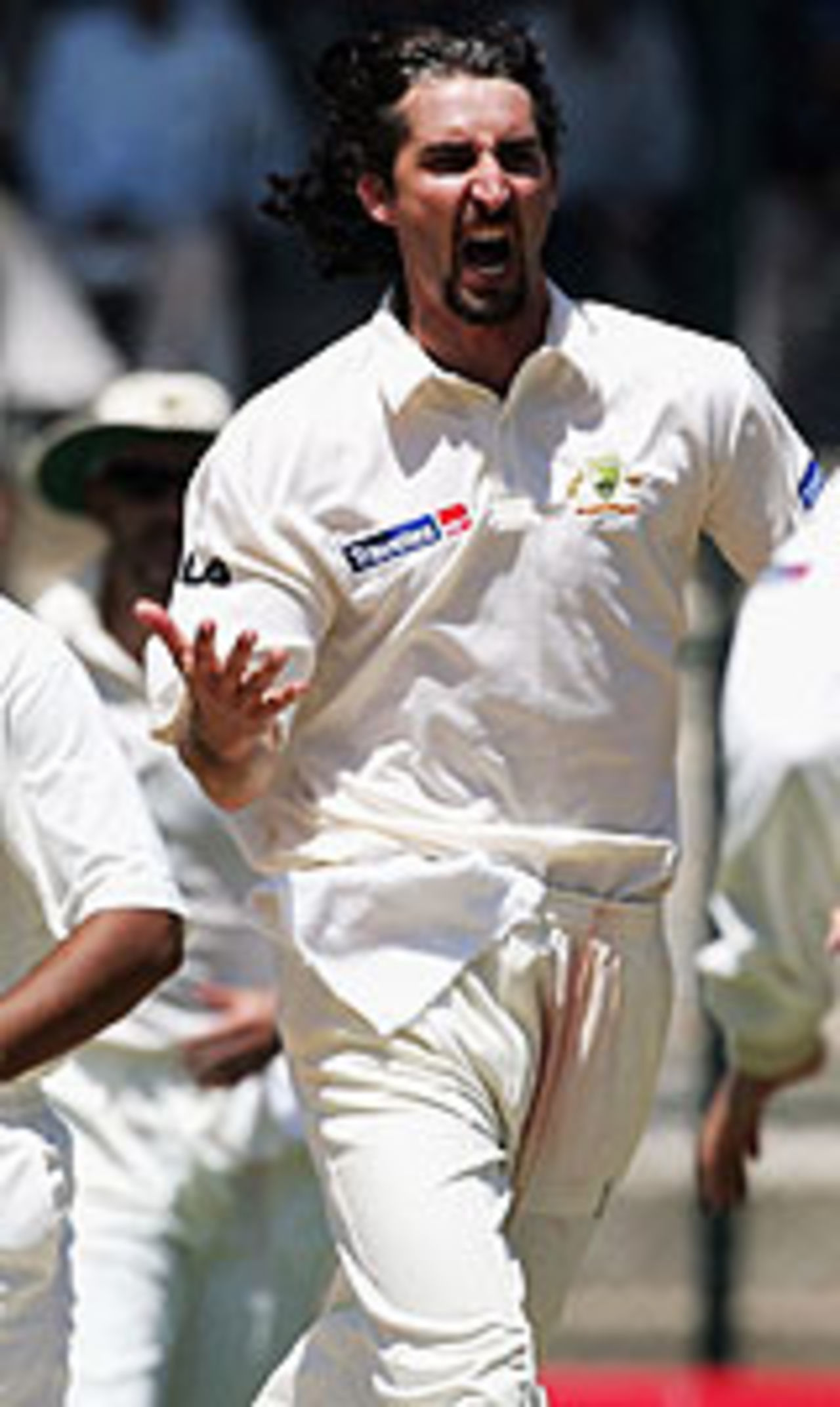 Jason Gillespie celebrates another wicket, India v Australia, 1st Test, Bangalore, 3rd day, October 8, 2004