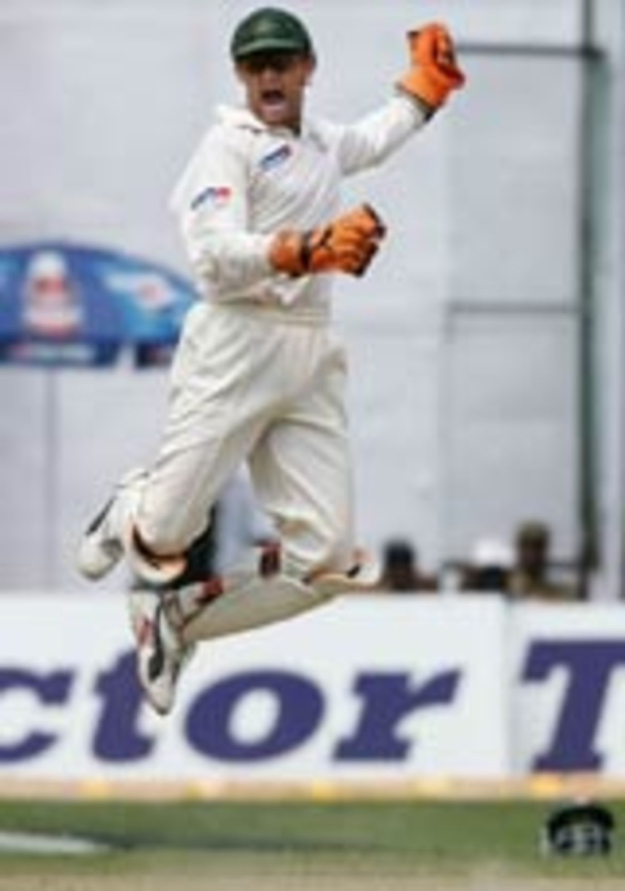 Adam Gilchrist jumps for joy after an Indian wicket, India v Australia, 1st Test, Bangalore, 3rd day, October 9, 2004