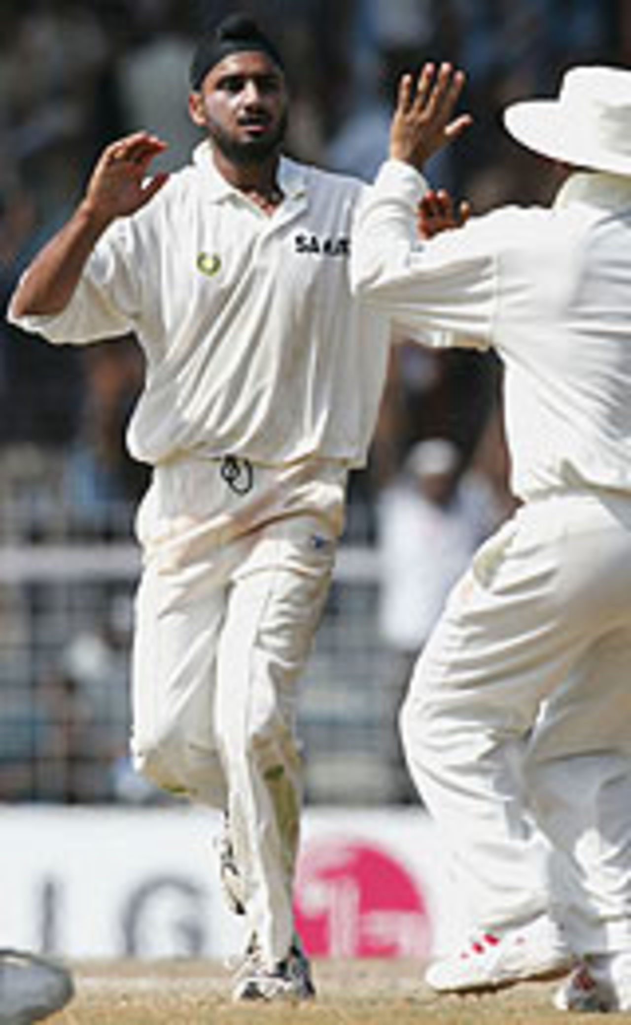 Harbhajan Singh celebrates a wicket, India v Australia, 2nd Test, Chennai, 4th day, October 17, 2004