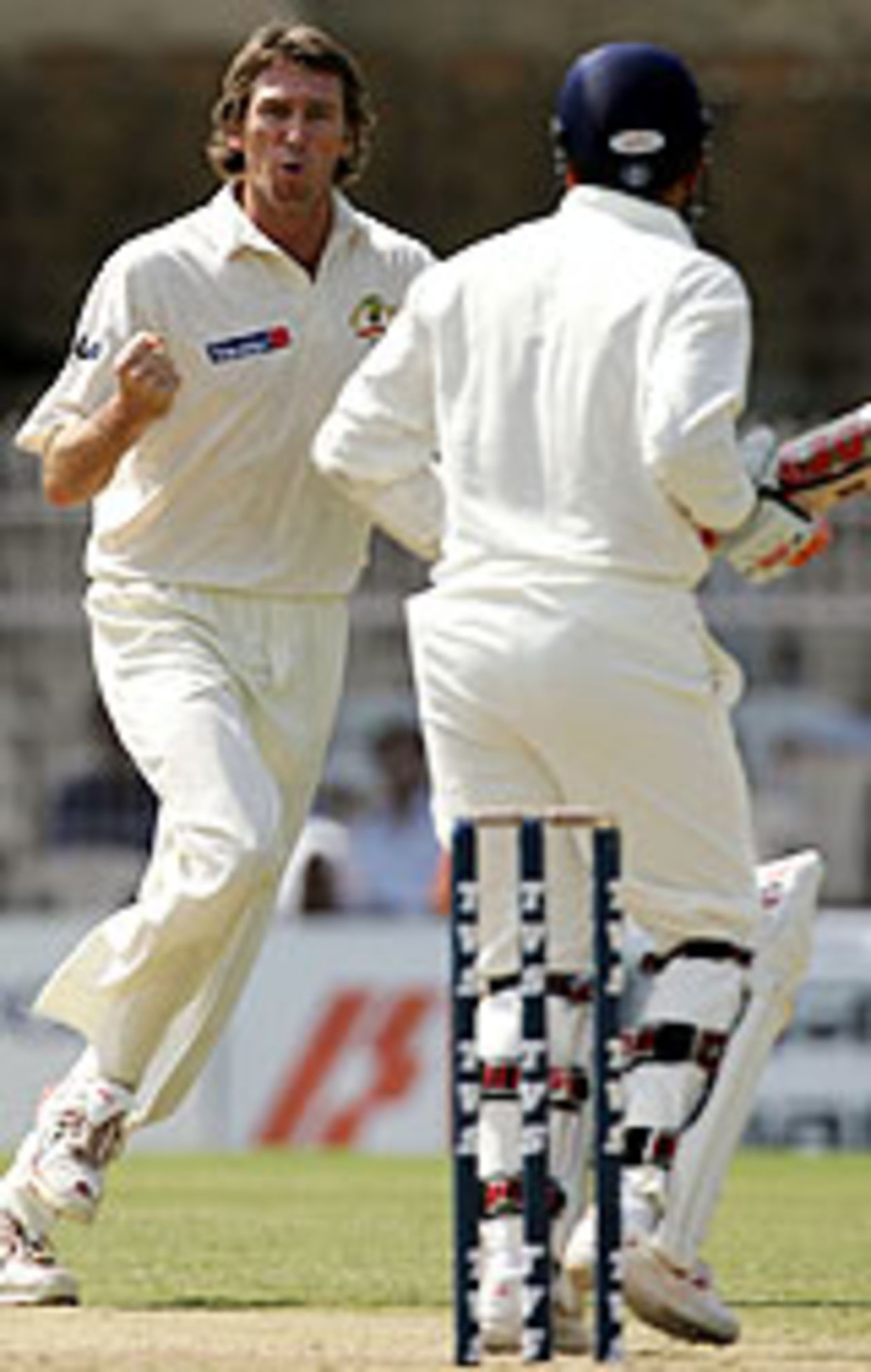 Glenn McGrath dismisses Virender Sehwag, India v Australia, 3rd Test, Nagpur, October 27, 2004