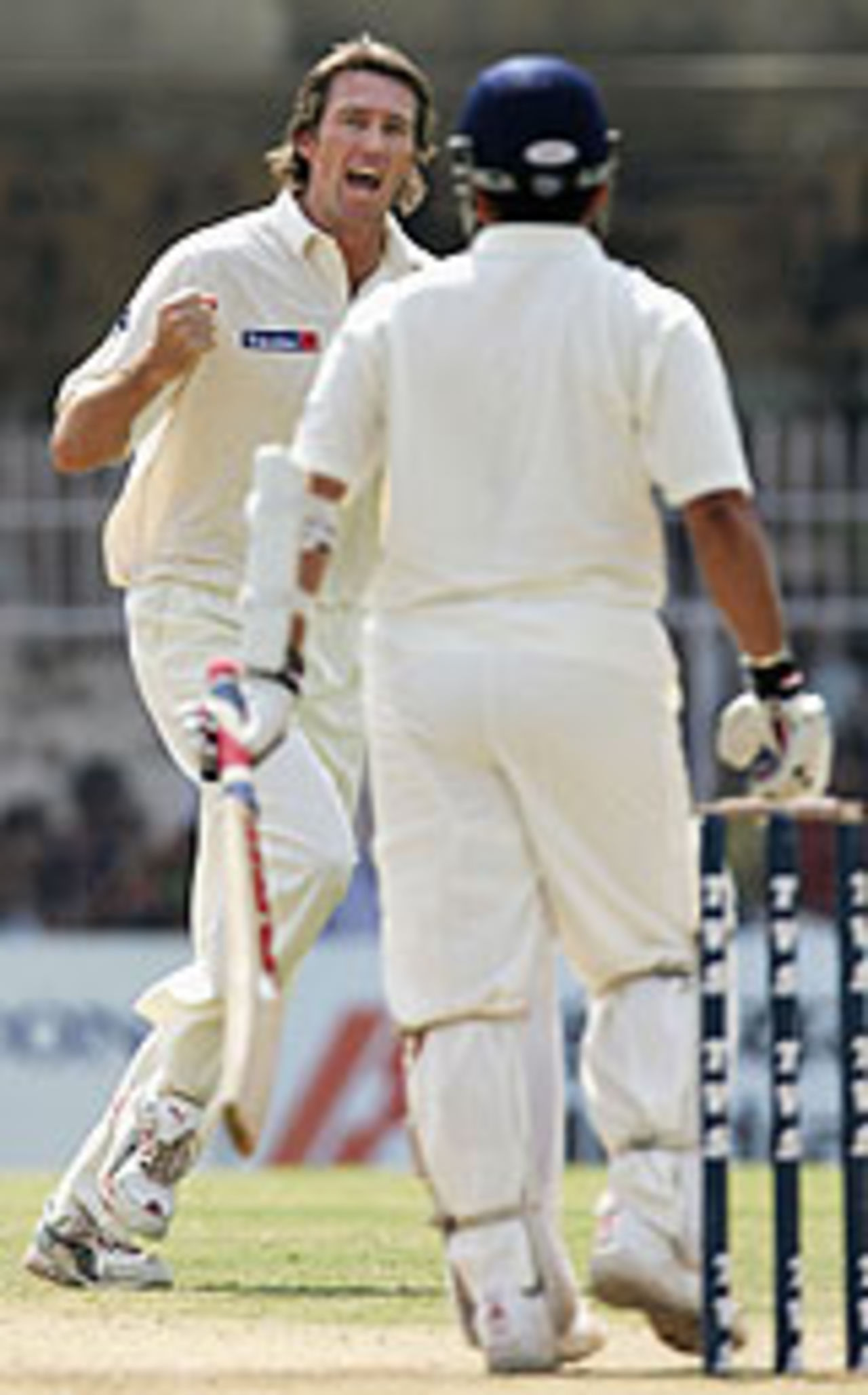 Glenn McGrath celebrates after nailing Sachin Tendulkar, India v Australia, 3rd Test, Nagpur, 4th day, October 29, 2004