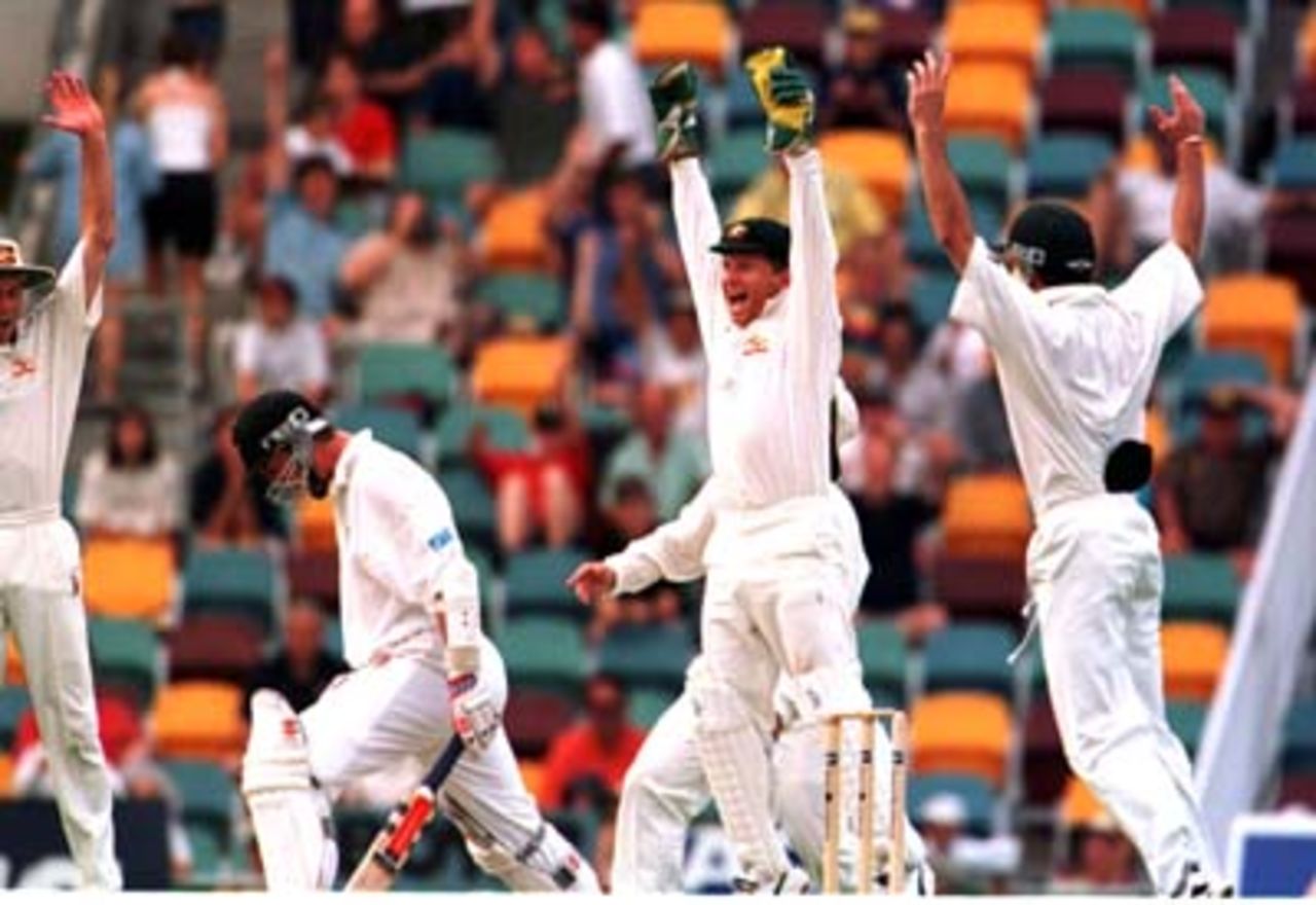 Ian Healy jumps for joy as Blair Pocock is caught by Mark Taylor at 1st slip during the 2nd day of the 1st Test between Australia and New Zealand at the Gabba Ground in Queensland, 7 - 11 November 1997