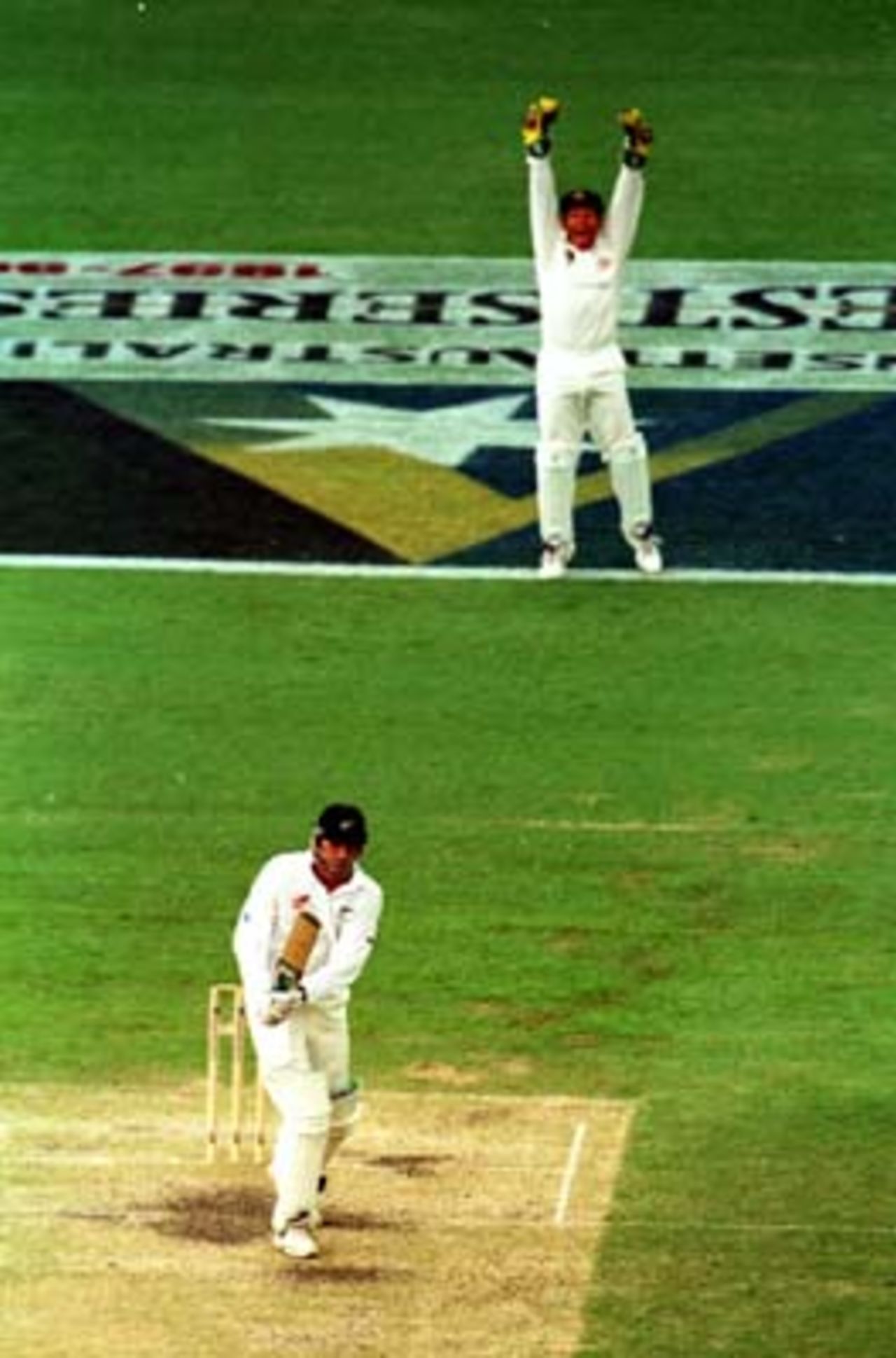 Ian Healy appeals as Stephen Fleming is given out LBW during the third day of the 1st Test between Australia and New Zealand at Brisbane, 7 - 11 Nov 1997