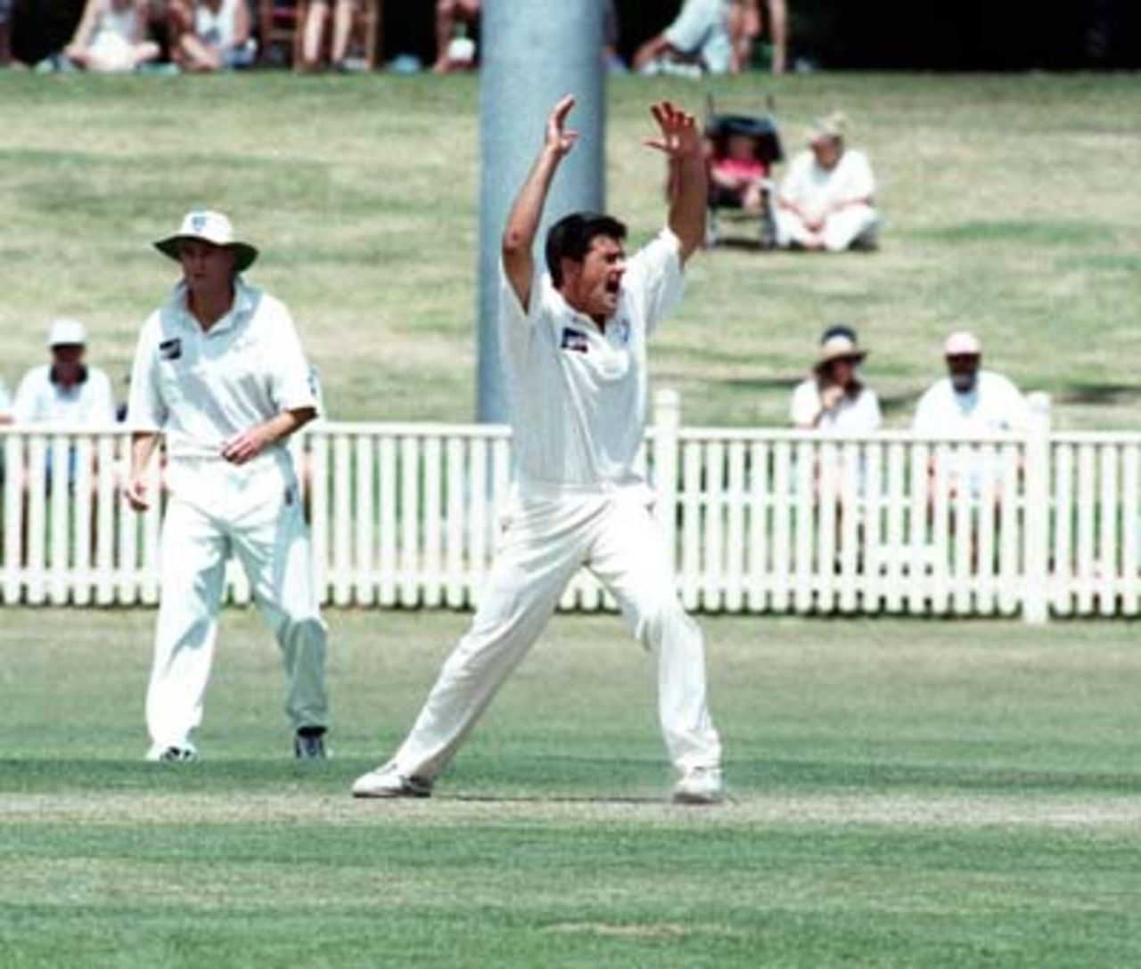Freedman appeals during the Sheffield Shield match between NSW and Queensland at Newcastle. 16th Nov 1997