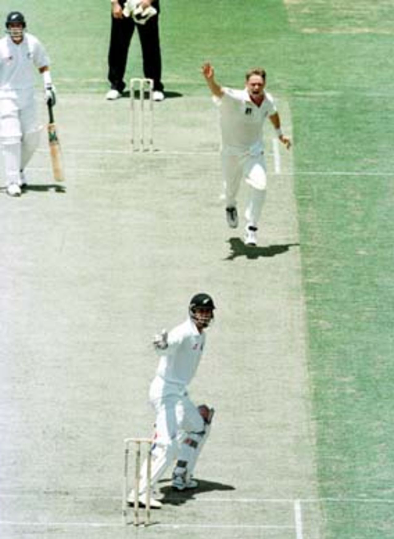 New Zealand's Pocock looks back in fear and new cap Simon Cook charges down in celebration as both watch Healy take a catch to dismiss the batsman and give Cook his first Test wicket. Australia v New Zealand 2nd Test at the WACA Perth, Day 1 Thursday Nov 20th 1997.