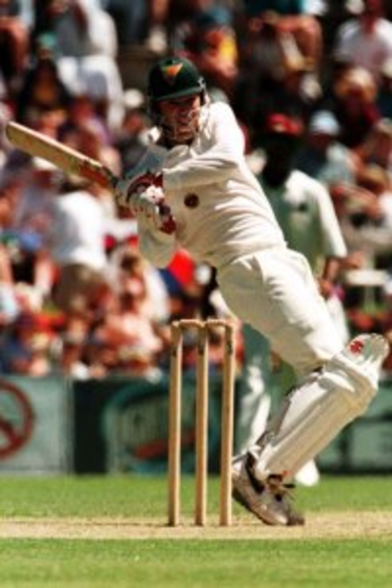 Dene Hills batting