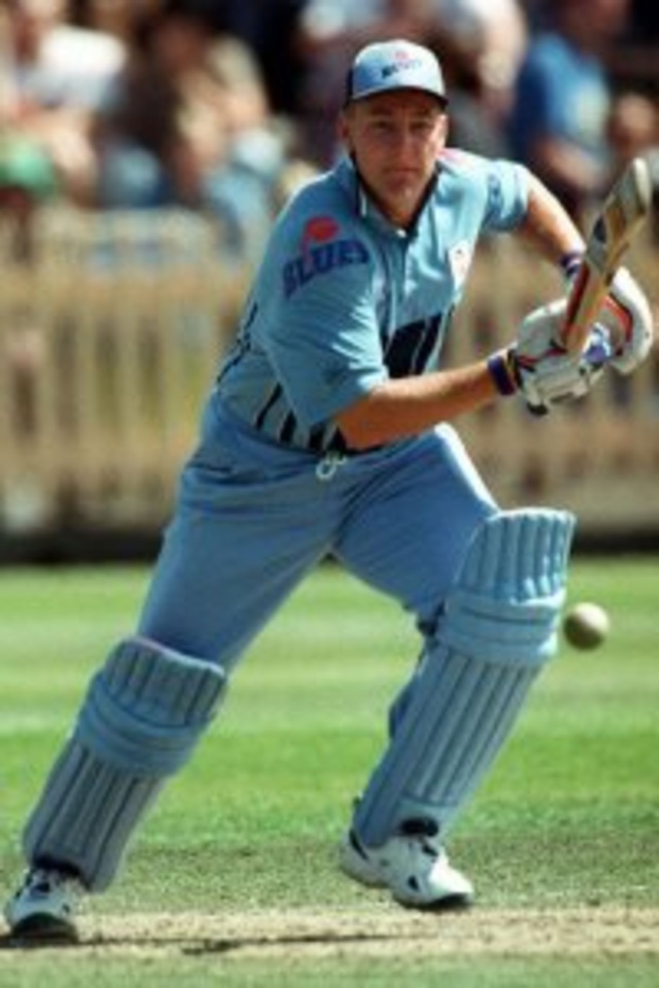 Shane Lee batting for the New South Wales Blues