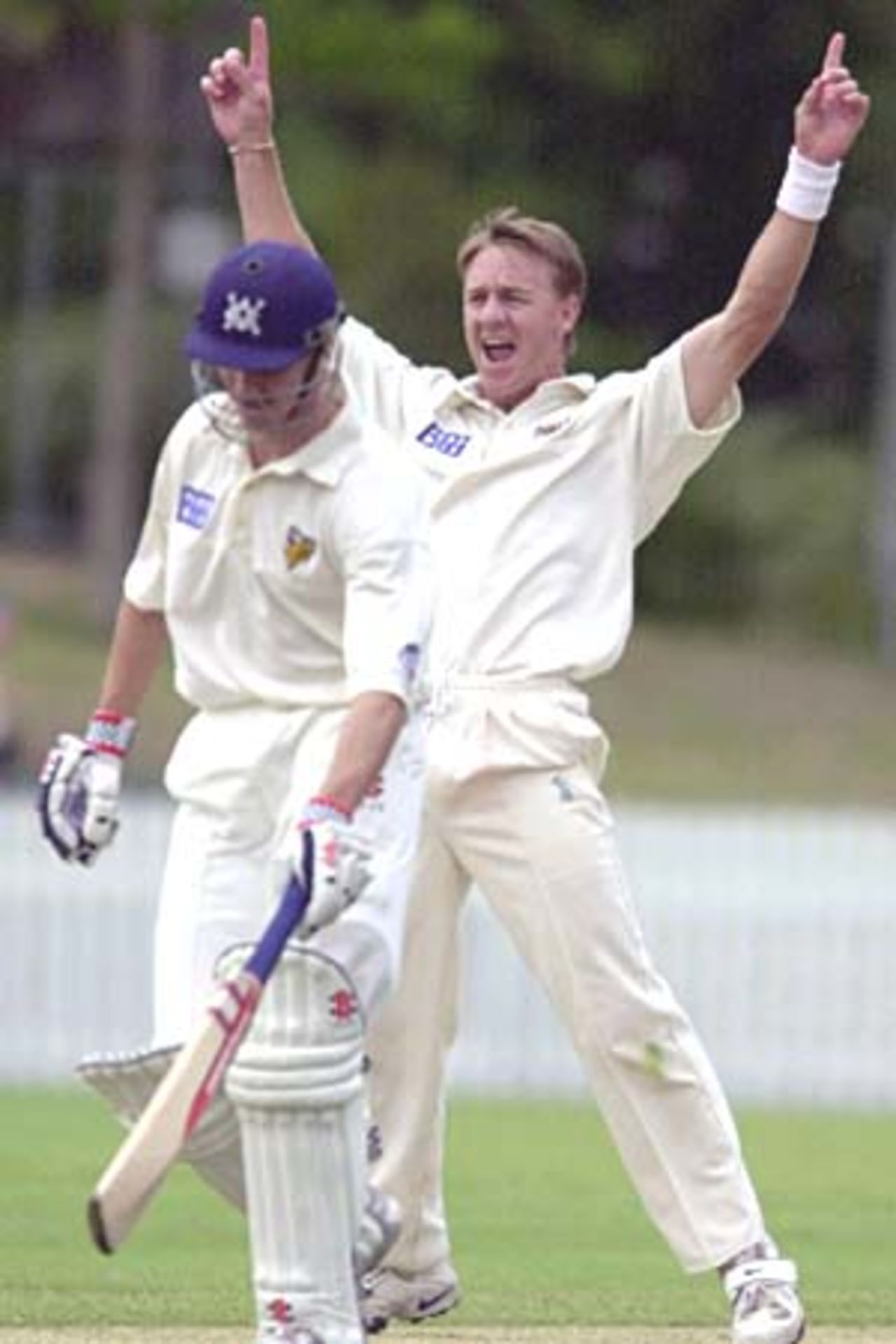 6 Nov 2000: Andy Bichel of Queensland appeals unsuccesssfully for the wicket of Ian Harvey of Victoria during the Pura Cup match between Queensland and Victoria played at Allan Border Field in Brisbane, Australia.