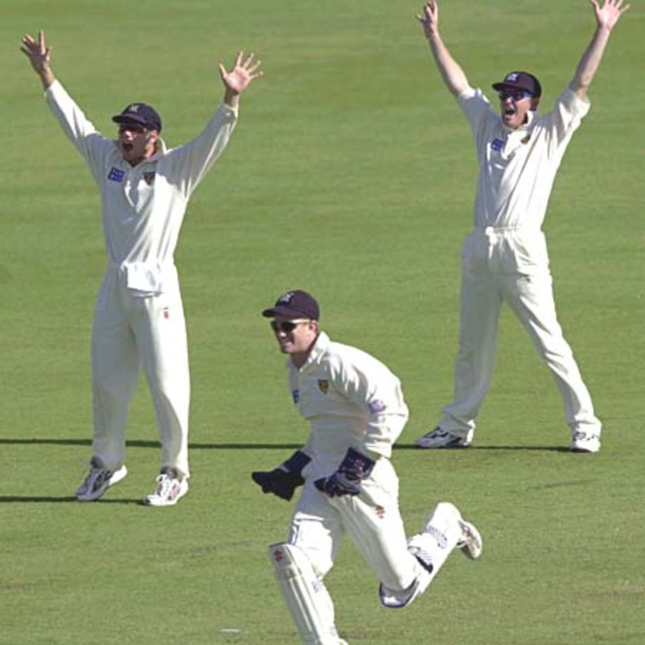 06 Nov 2000: Brad Hodge, Ian Harvey and Michael Klinger of Victoria unsuccessfully appeal for a wicket against Queensland during the Pura Cup match between Queensland and Victoria played at Allan Border Field in Brisbane, Australia.