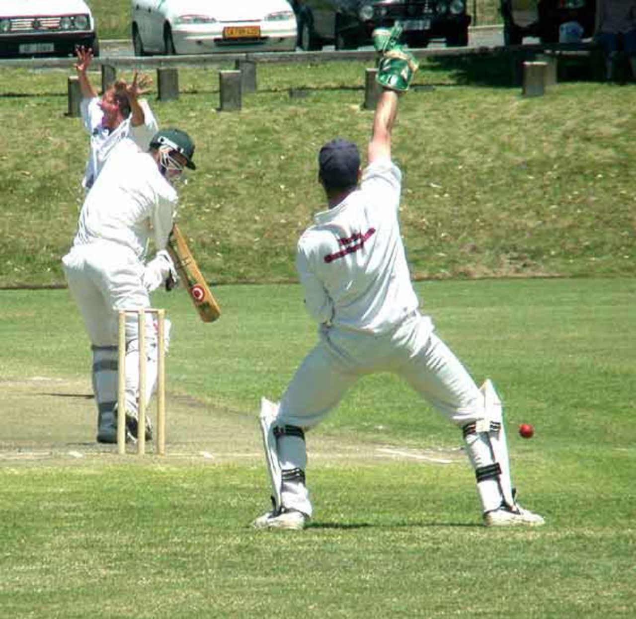 CTCC batsman Ryan Tait is trapped LBW by Derrick Lane. The wicketkeeper is Peter Stewart. Lane claimed six wickets for Pinelands
