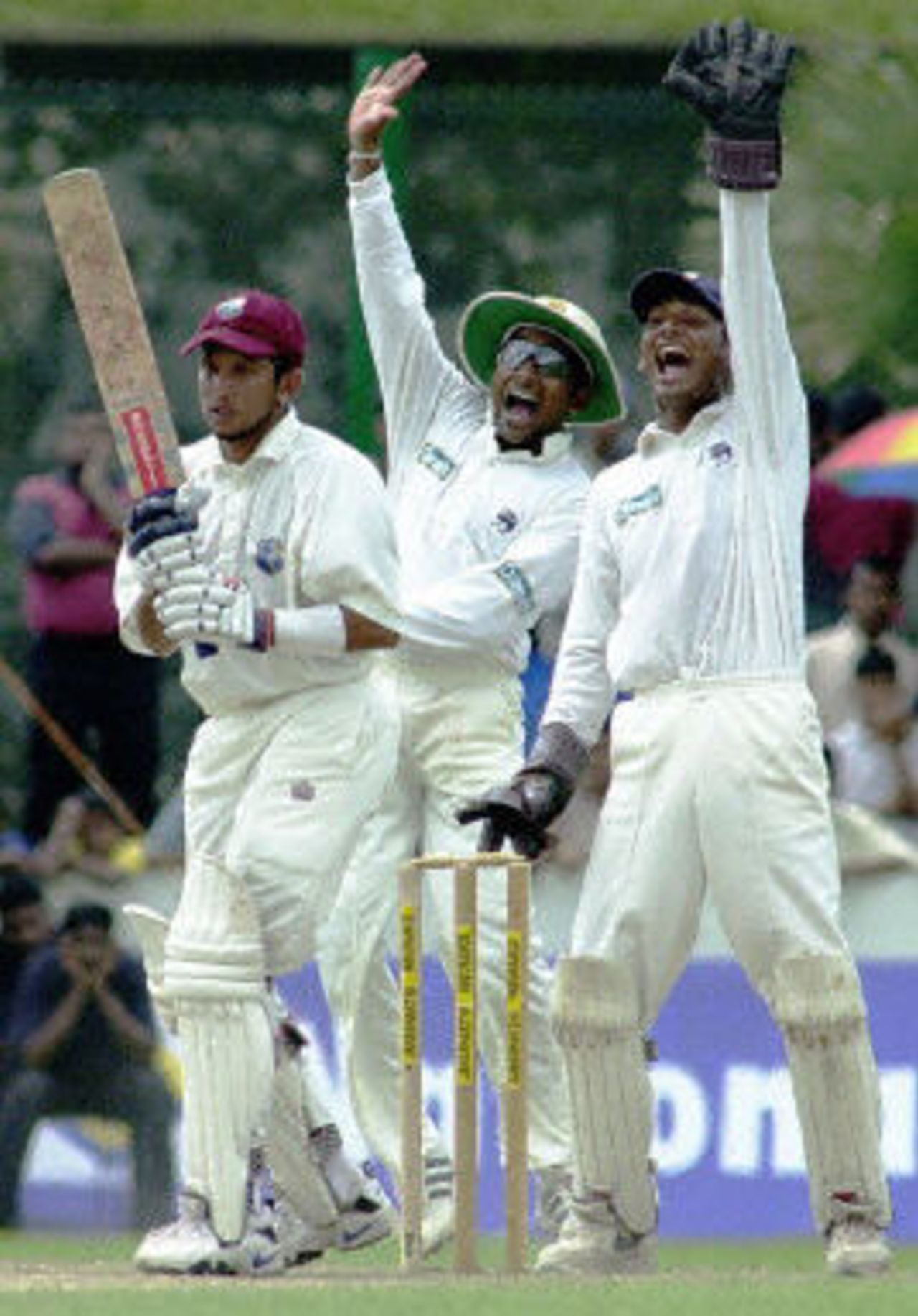 Kumar Sangakkara and Mahela Jayawardane appealing for an LBW for West Indies batsman Ramnaresh Sarwan