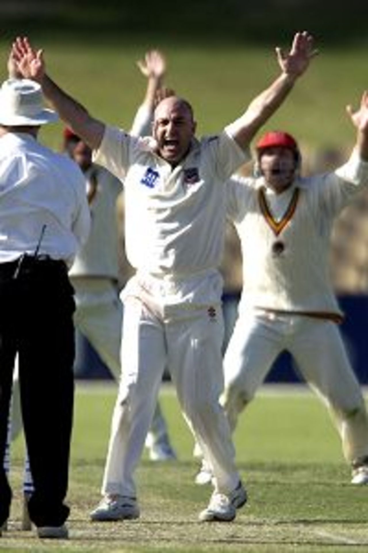 19 Nov 2001: South Australian spin bowler Peter McIntyre appeals for his sixth wicket, Daniel Vettori lbw for 0, in the match between South Australia and New Zealand played at Adelaide Oval in Adelaide, Australia.