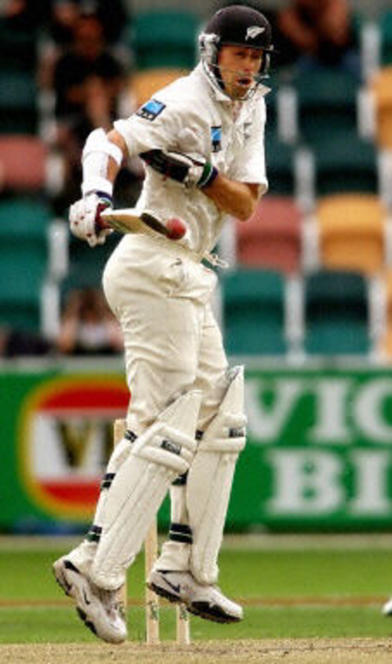 Australia v New Zealand, 2ndTest, Trans Tasman Trophy, 2001-2, Bellerive Oval, Hobart, 22-26 November 2001