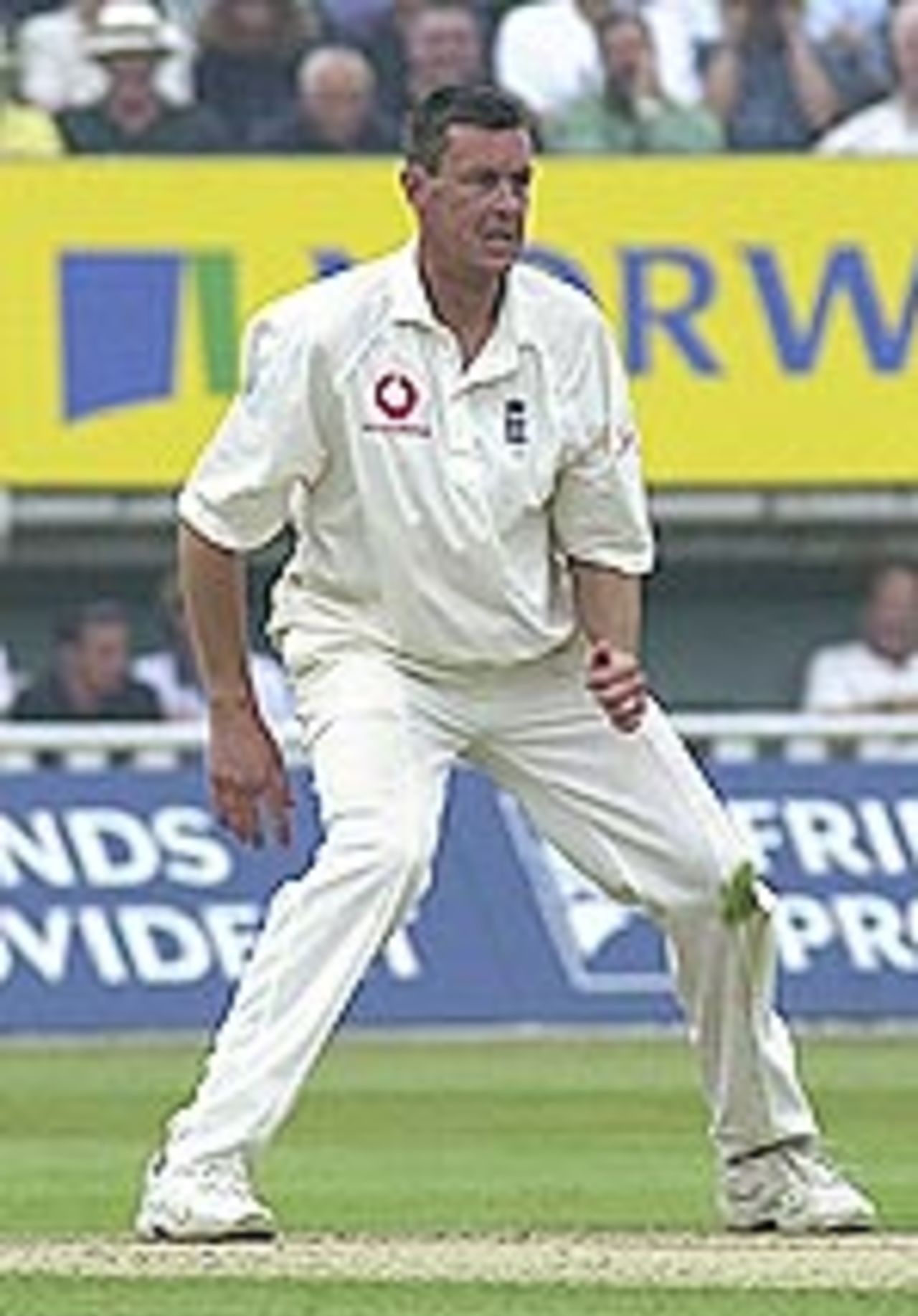 Taken at the first Ashes Test of the 2001 series at Birmingham