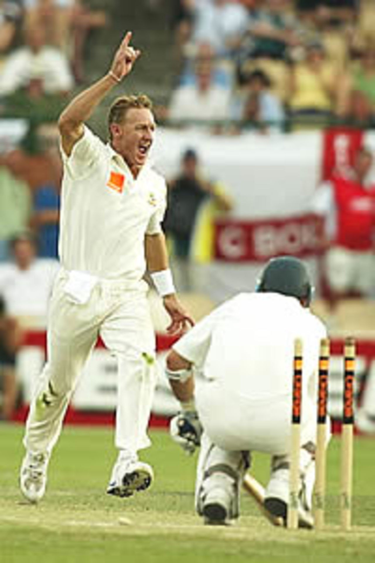 ADELAIDE - NOVEMBER 23: Andy Bichel of Australia celebrates the wicket of Nasser Hussain of England during the third day of the second Ashes Test between Australia and England played at the Adelaide Oval in Adelaide, Australia, on November 23, 2002.