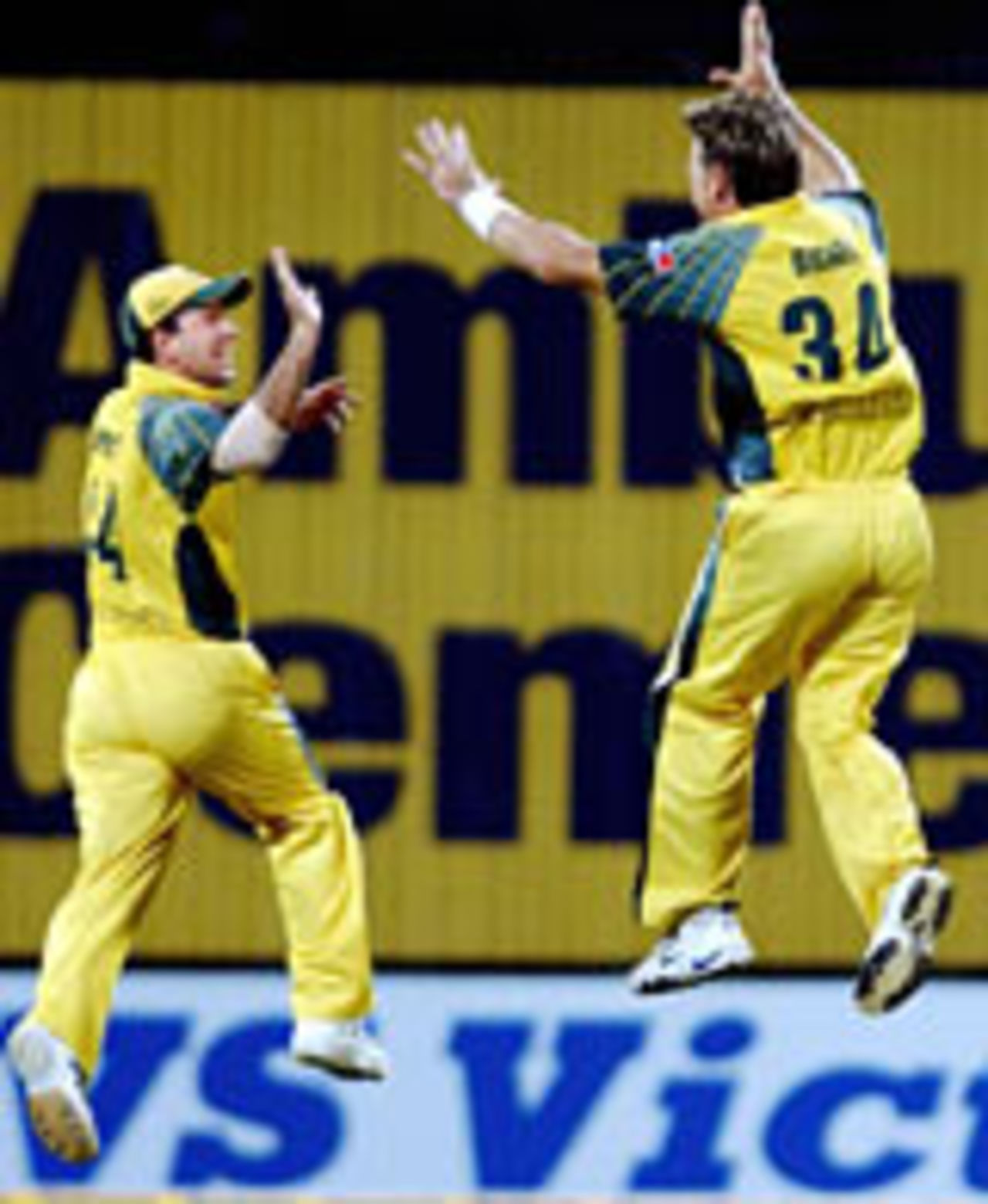 Ricky Ponting and Andy Bichel celebrate, India v Australia, 4th ODI, TVS Cup, November 1, 2003