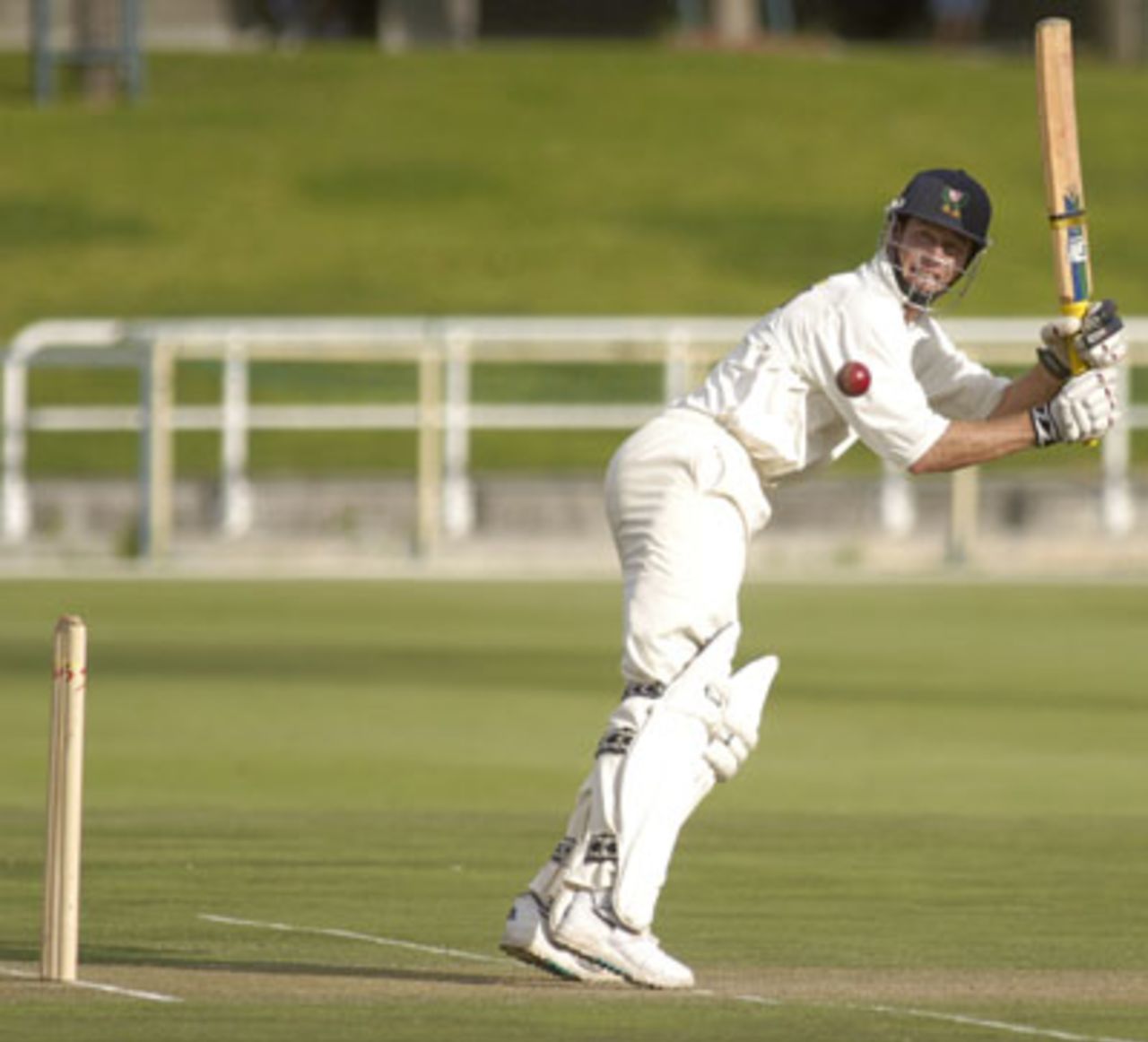 Neil Johnson glances a ball against North West at Newlands on Friday