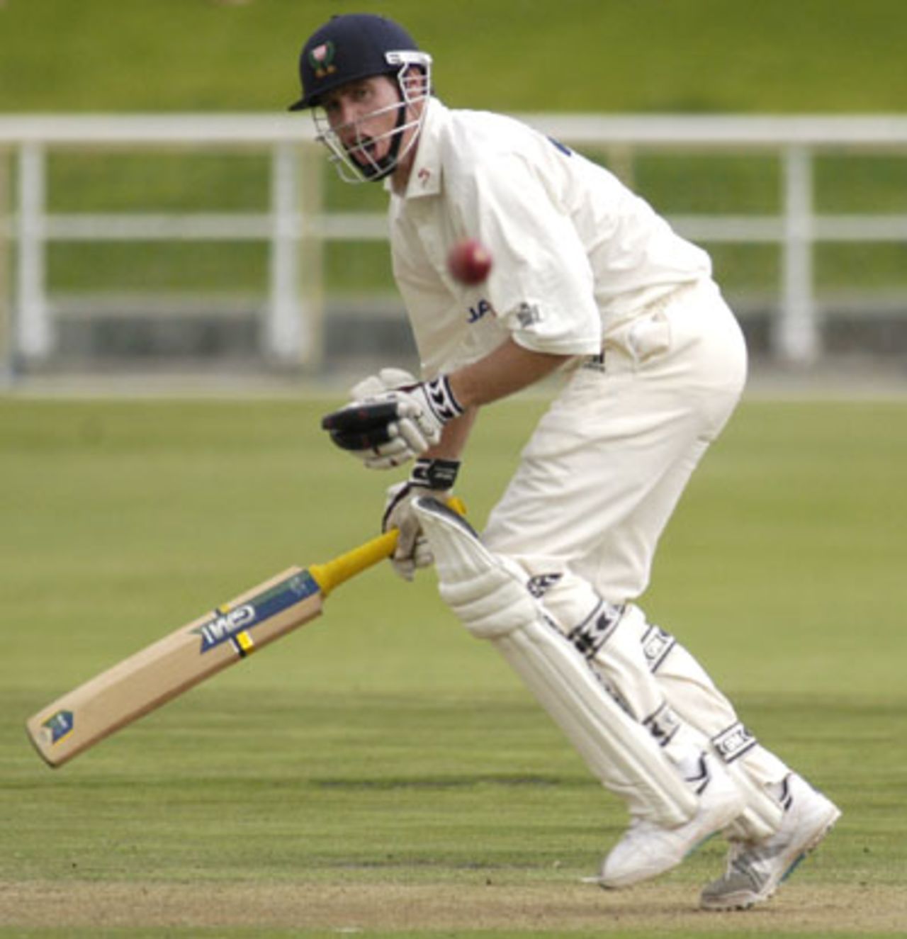 Neil Johnson drives a ball against North West at Newlands on Friday