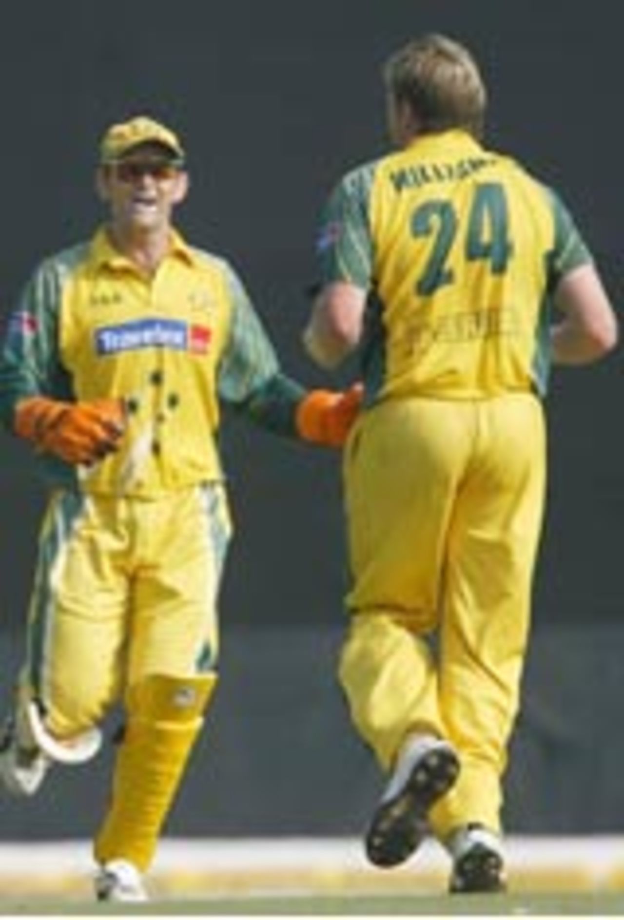 Brad Williams and Adam Gilchrist celebrate the fall of a wicket, Australia v New Zealand, 5th ODI, TVS Cup, Pune, 3rd November, 2003