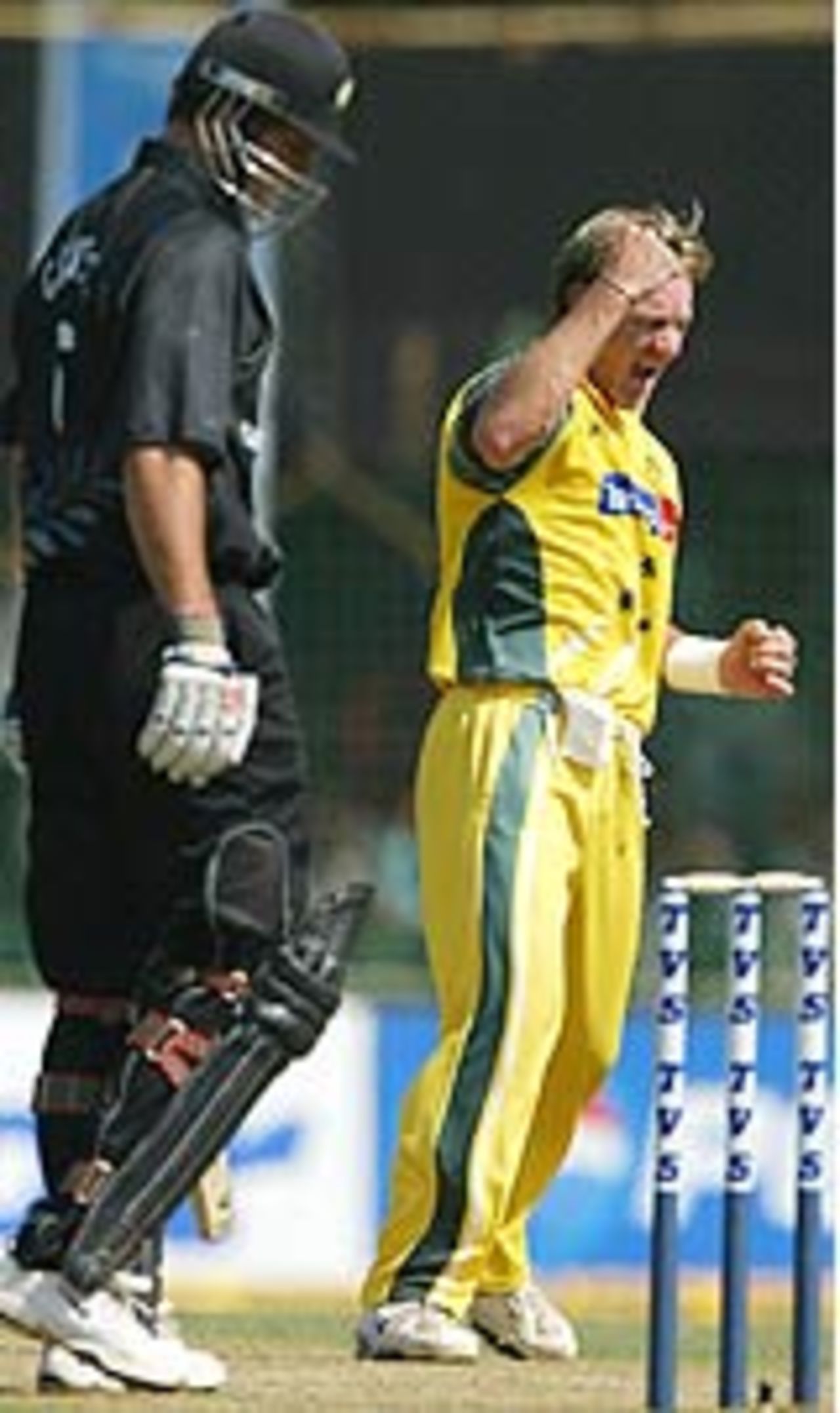 Andy Bichel exults after getting the wicket of Chris Cairns, Australia v New Zealand, 5th ODI, TVS Cup, Pune, November 3rd, 2003