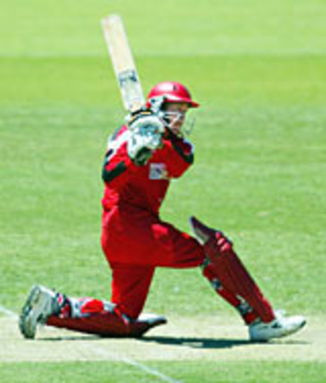 Andy Flower sweeps the ball into an ING hoarding to collect a Aus$50,000 prize, South Australia v Western Australia, November 9, 2003