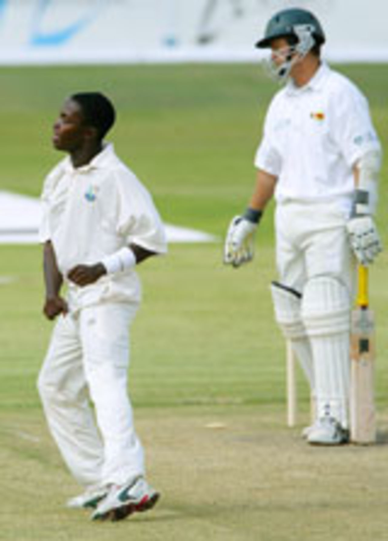Fidel Edwards celebrates the wicket of Stuart Carlisle, Zimbabwe v West Indies, 2nd Test, Bulawayo, November 13, 2003