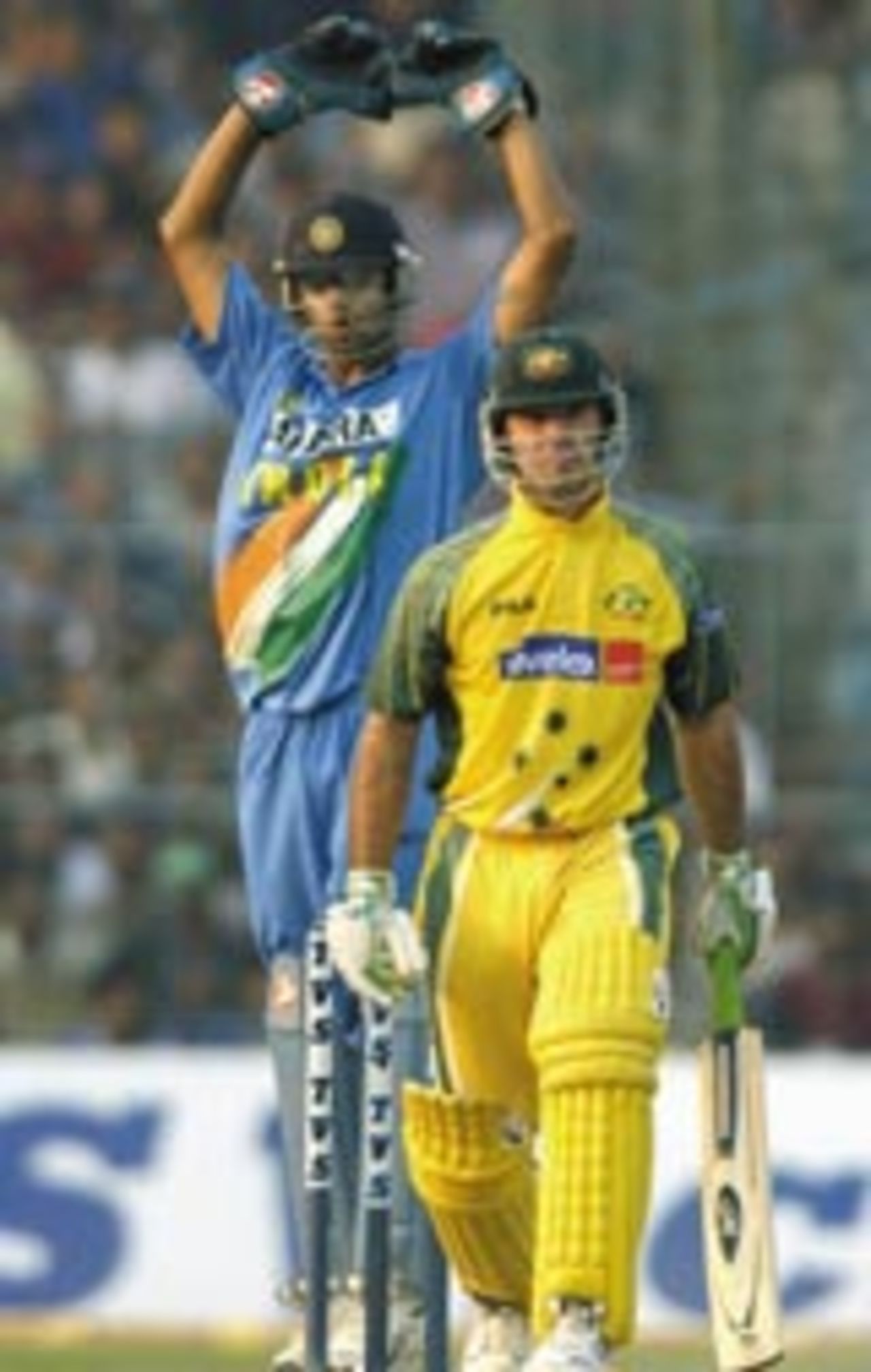 Rahul Dravid celebrates as Ricky Ponting walks off after his dismissal, India v Australia, TVS Cup, final, Kolkata, November 18, 2003
