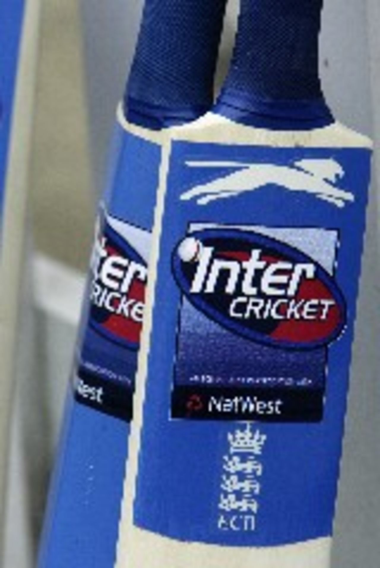 Inter Cricket bats