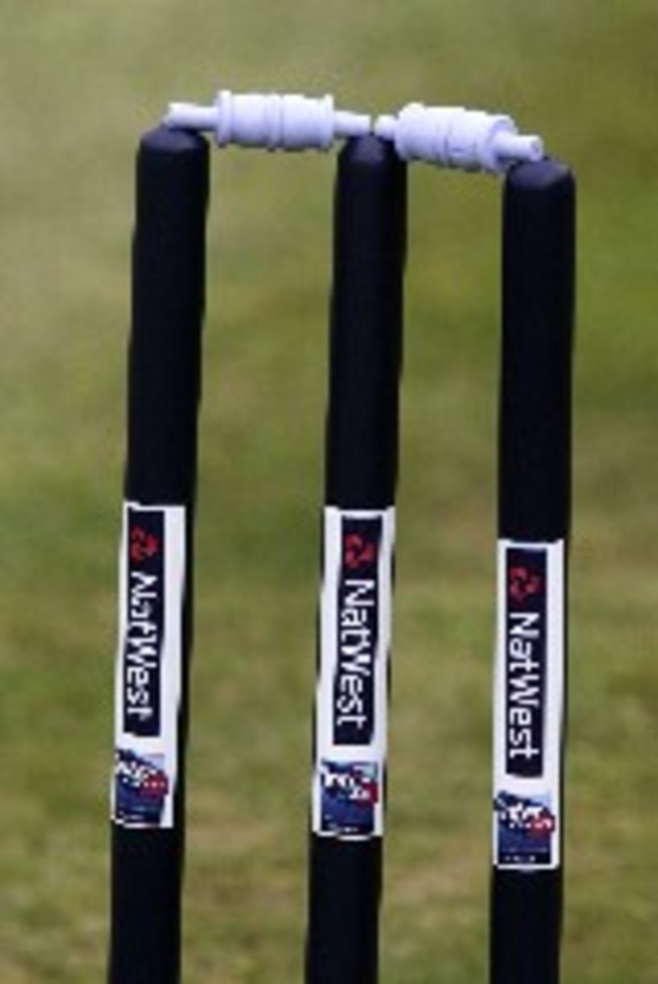 Inter Cricket stumps