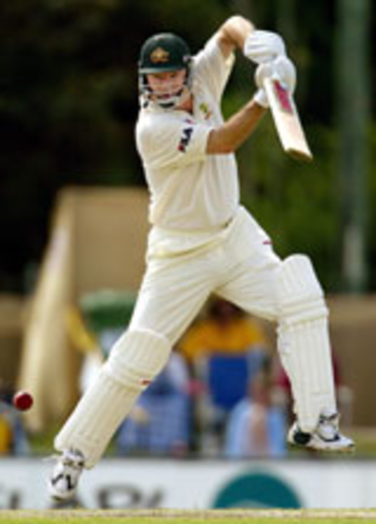 Steve Waugh batting, Australia v Bangladesh, Cairns, July 27, 2003