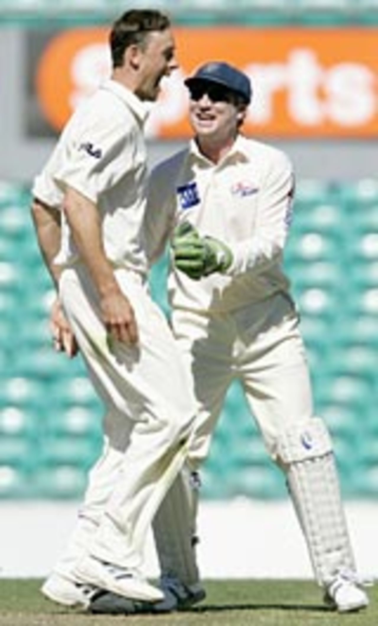 Matthew Nicholson and Brad Haddin celebrate the wicket of Ryan Campbell, NSW v Western Australia, SCG, Novewmber 3, 2004