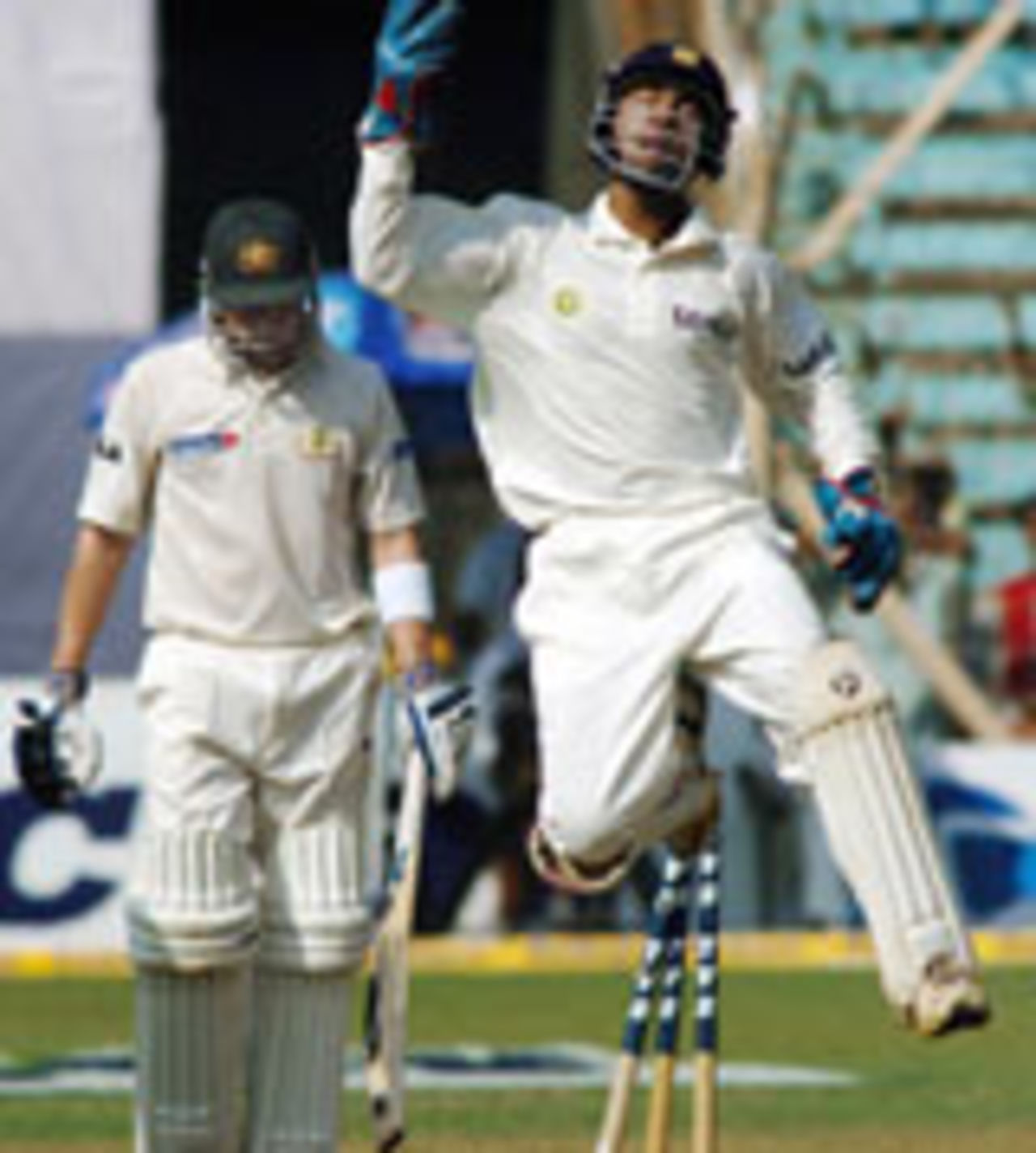 Dinesh Karthik celebrates Michael Clarke's dismissal, 2nd day, India v Australia, 2nd Test, Mumbai, November 4 2004