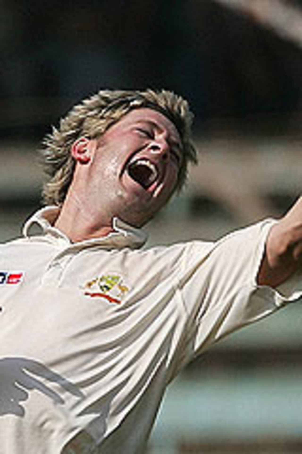 Michael Clarke is a picture of joy, India v Australia, 4th Test, Mumbai, 3rd day, November 5, 2004