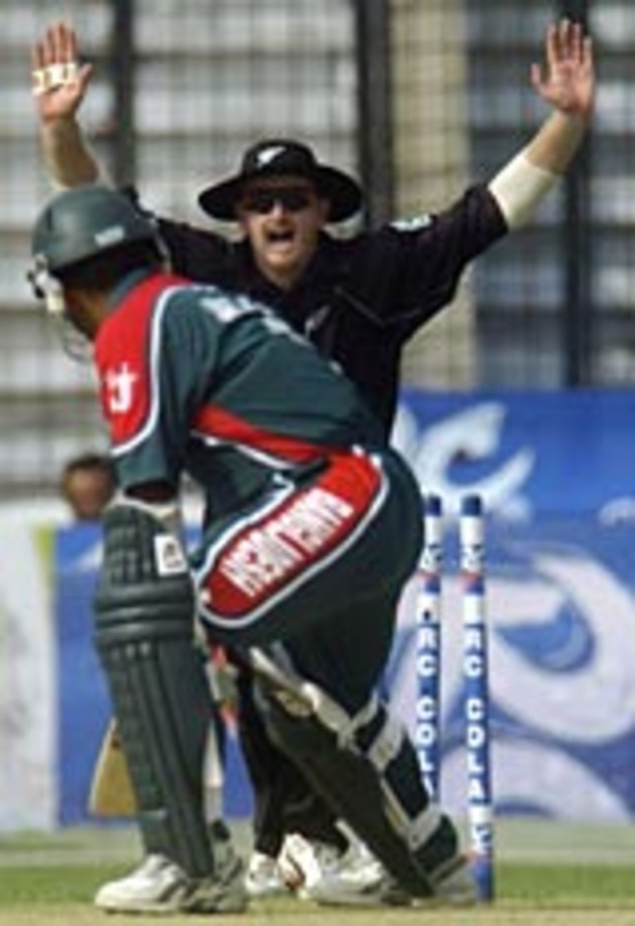 Scott Styris celebrates Javed Omar's dismissal, Bangladesh v New Zealand, Dhaka, 2nd ODI, November 5, 2004