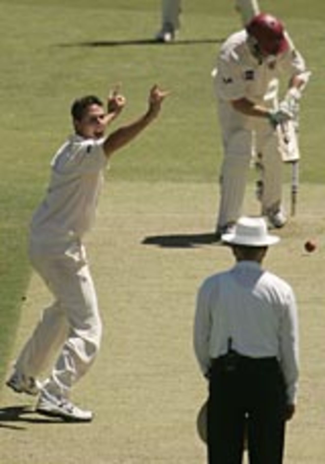 Shaun Tait traps Clinton Perren leg-before, South Australia v Queensland, Adelaide Oval, November 9, 2004
