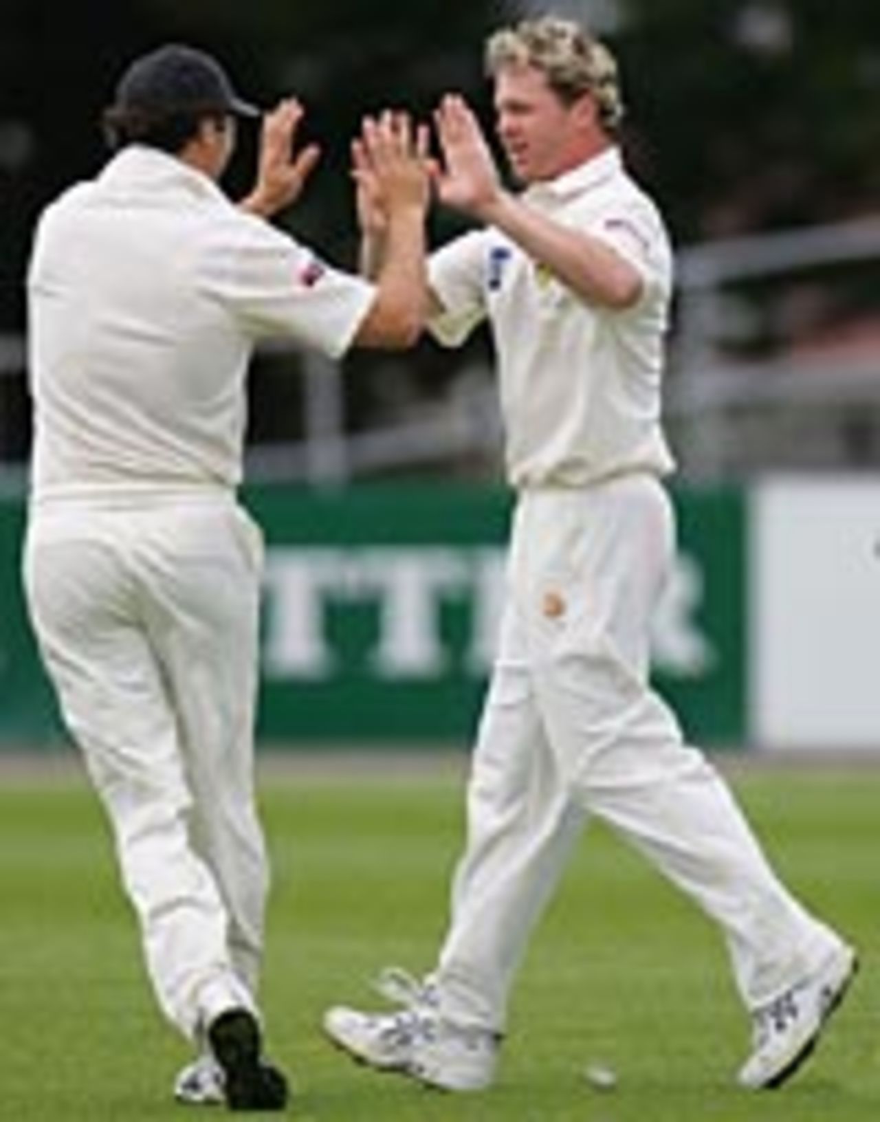 Michael Lewis celebrates, Tasmania v Victoria, Hobart, November 10, 2004