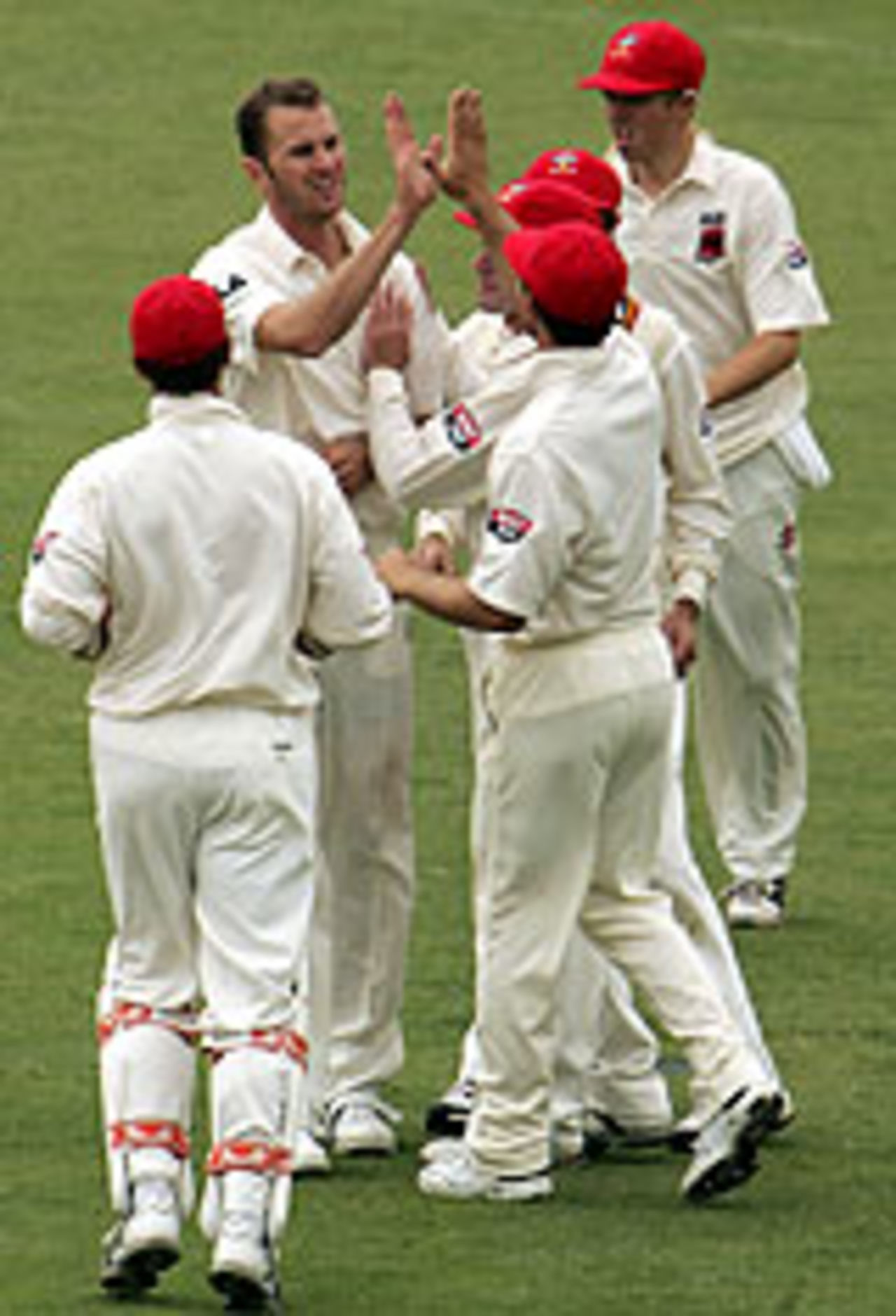Paul Rofe takes another wicket, South Australia v Queensland, Adelaide Oval, November 11, 2004