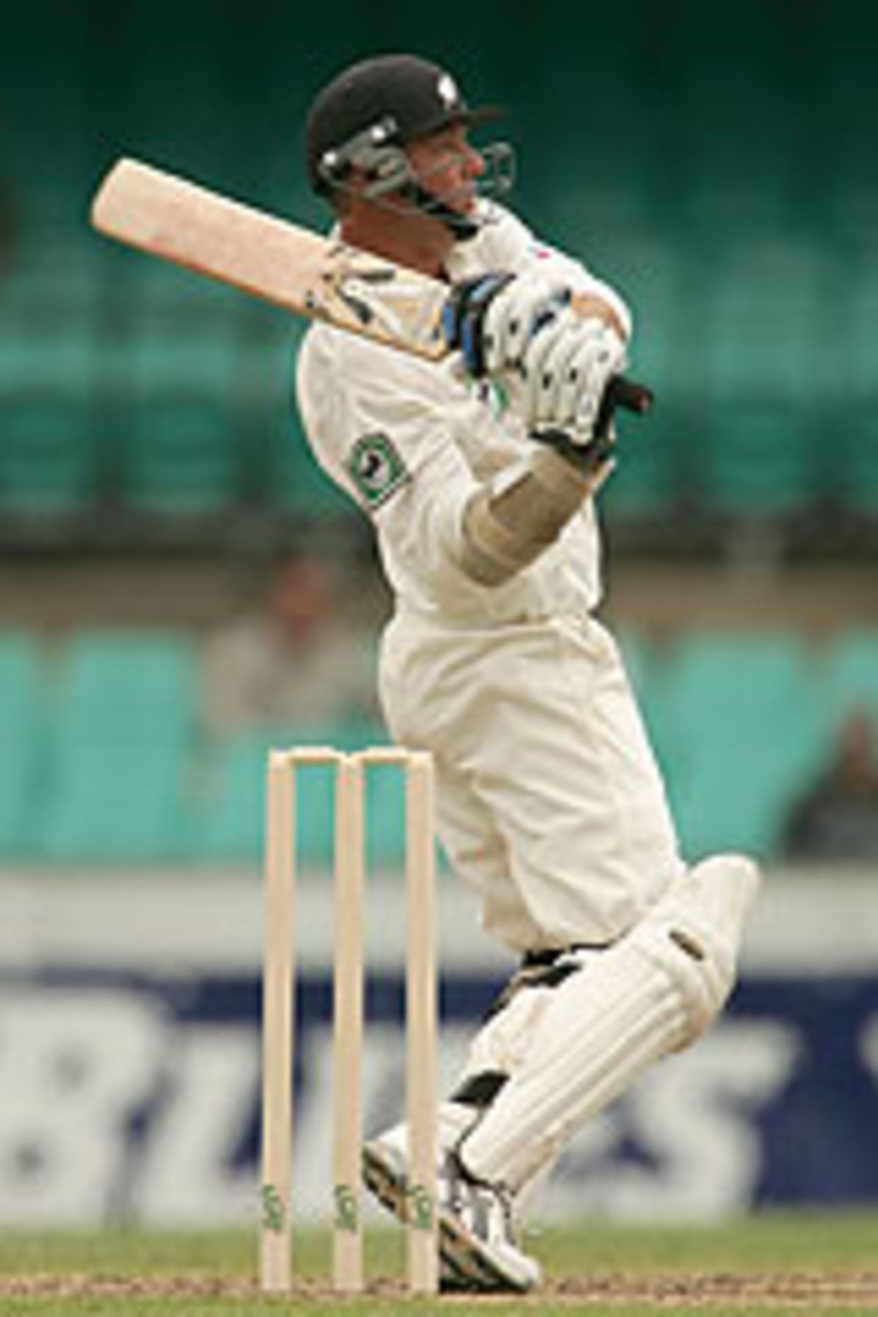 Mark Richardson batting, New South Wales v New Zealand, SCG, November 11 2004
