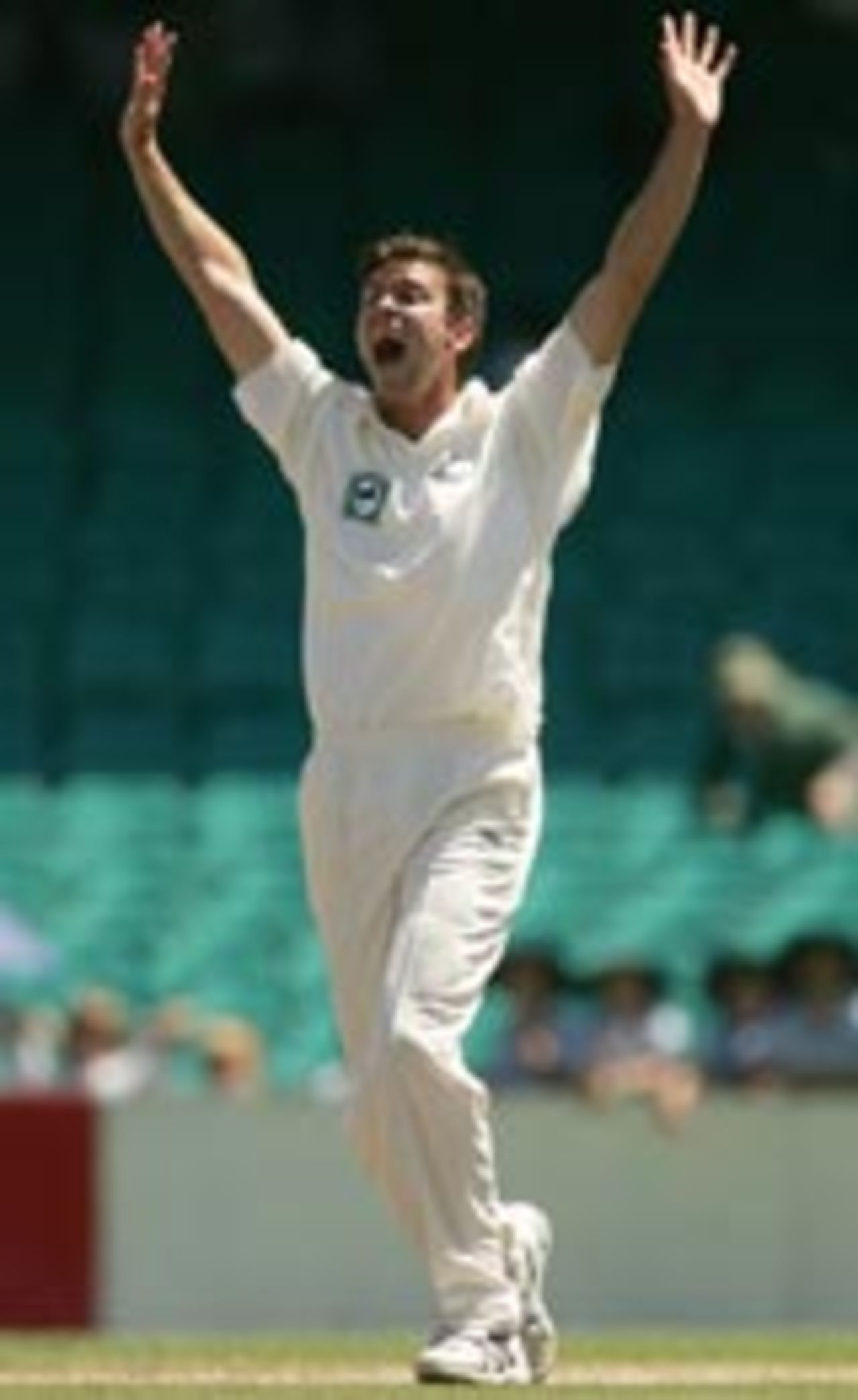 James Franklin celebrates a wicket, New South Wales v New Zealand, SCG, November 12 2004