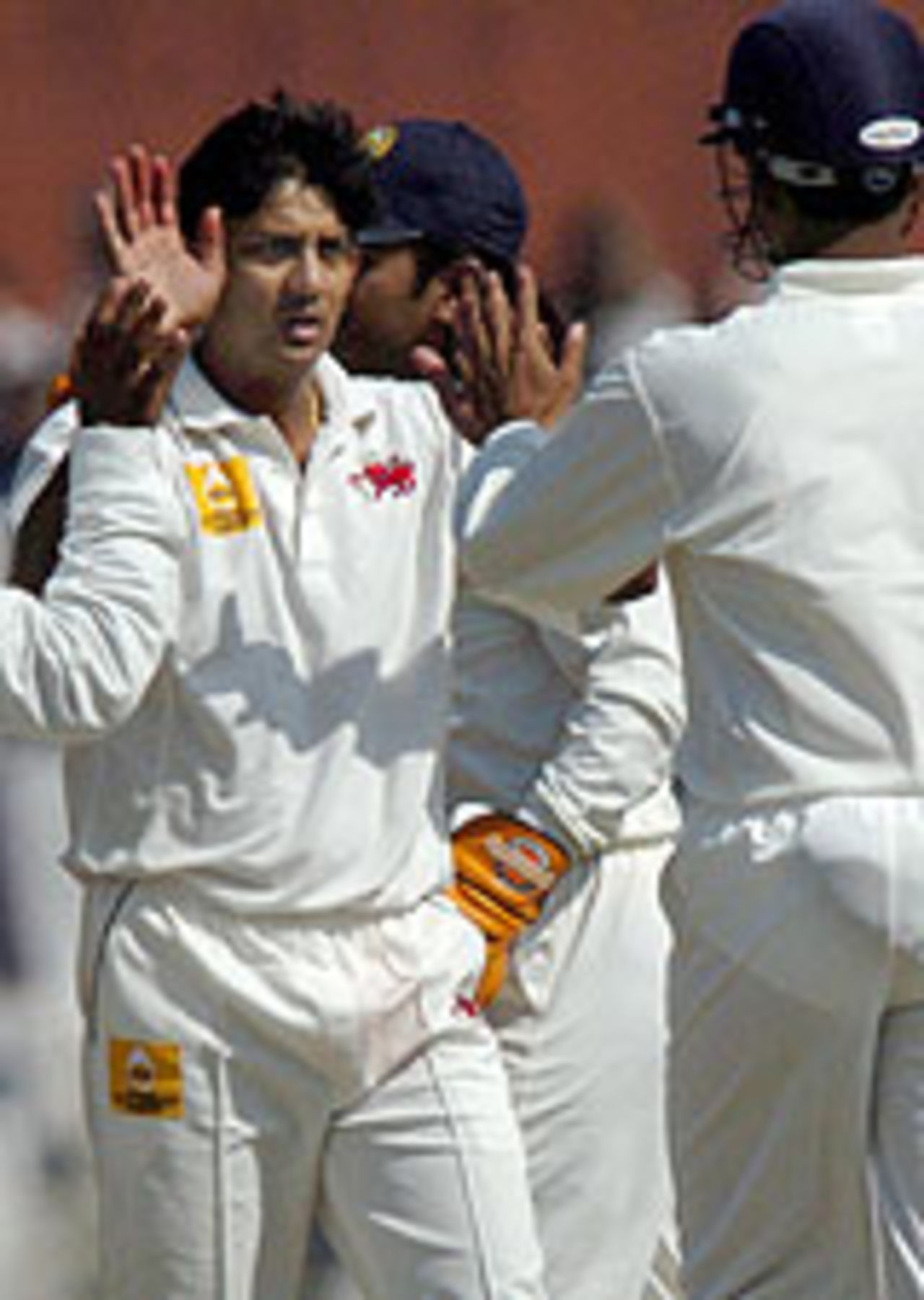 The fielders celebrate Jacques Rudolph's dismissal, Indian Board President's XI v South Africans, Jaipur, tour game, 1st day, November 14th, 2004