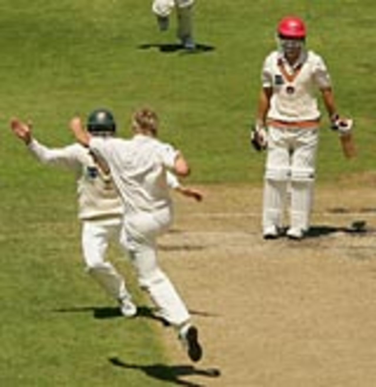 Damien Wright celebrates taking the wicket of Callum Ferguson, Tasmania v South Australia, Pura Cup, 3rd day, Hobart, November 19, 2004