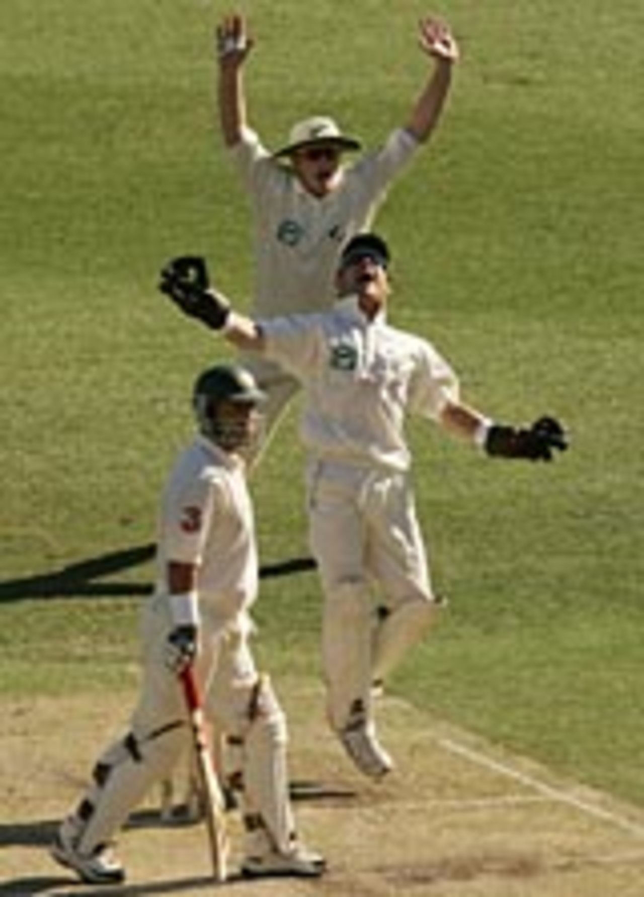 Brendon McCullum catches Darren Lehmann, Australia v New Zealand, 1st Test, Brisbane, November 19, 2004