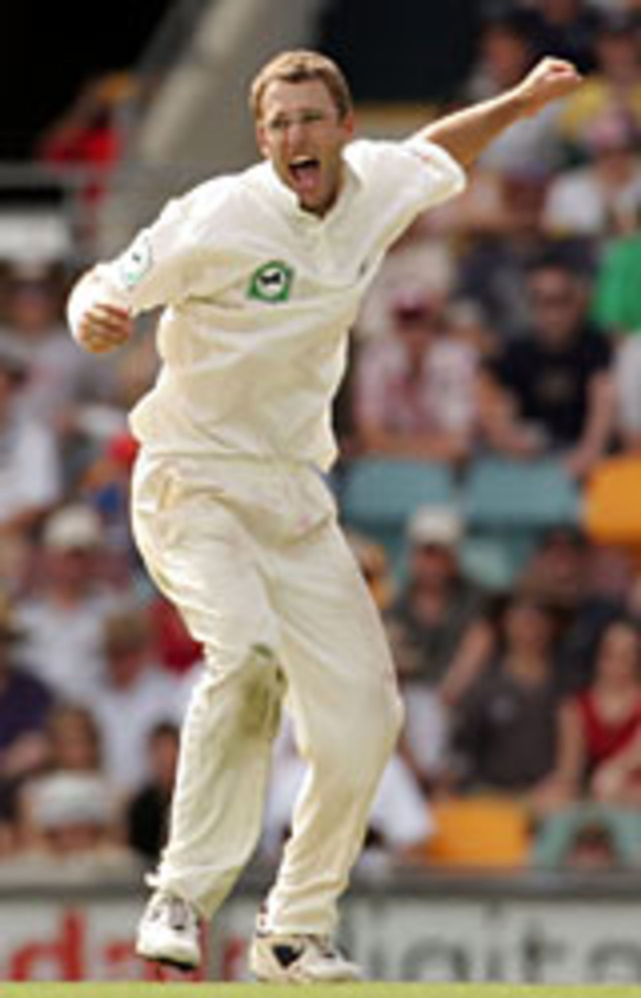 A wicket at last for Daniel Vettori, Australia v New Zealand, 1st Test, Brisbane, November 20, 2004