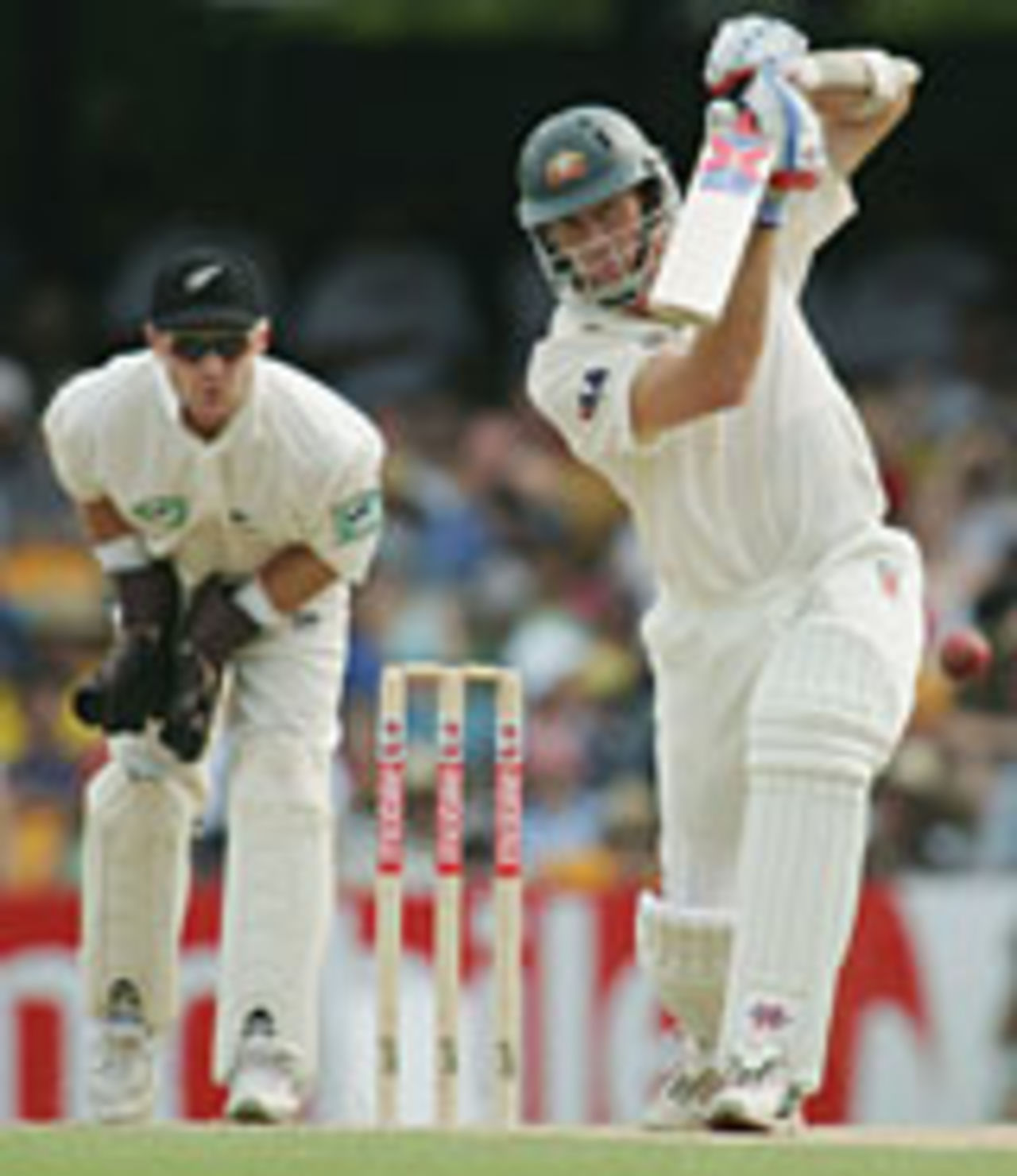 Glenn McGrath drives on his way to fifty, Australia v New Zealand, 1st Test, Brisbane, 3rd Day, November 20 2004