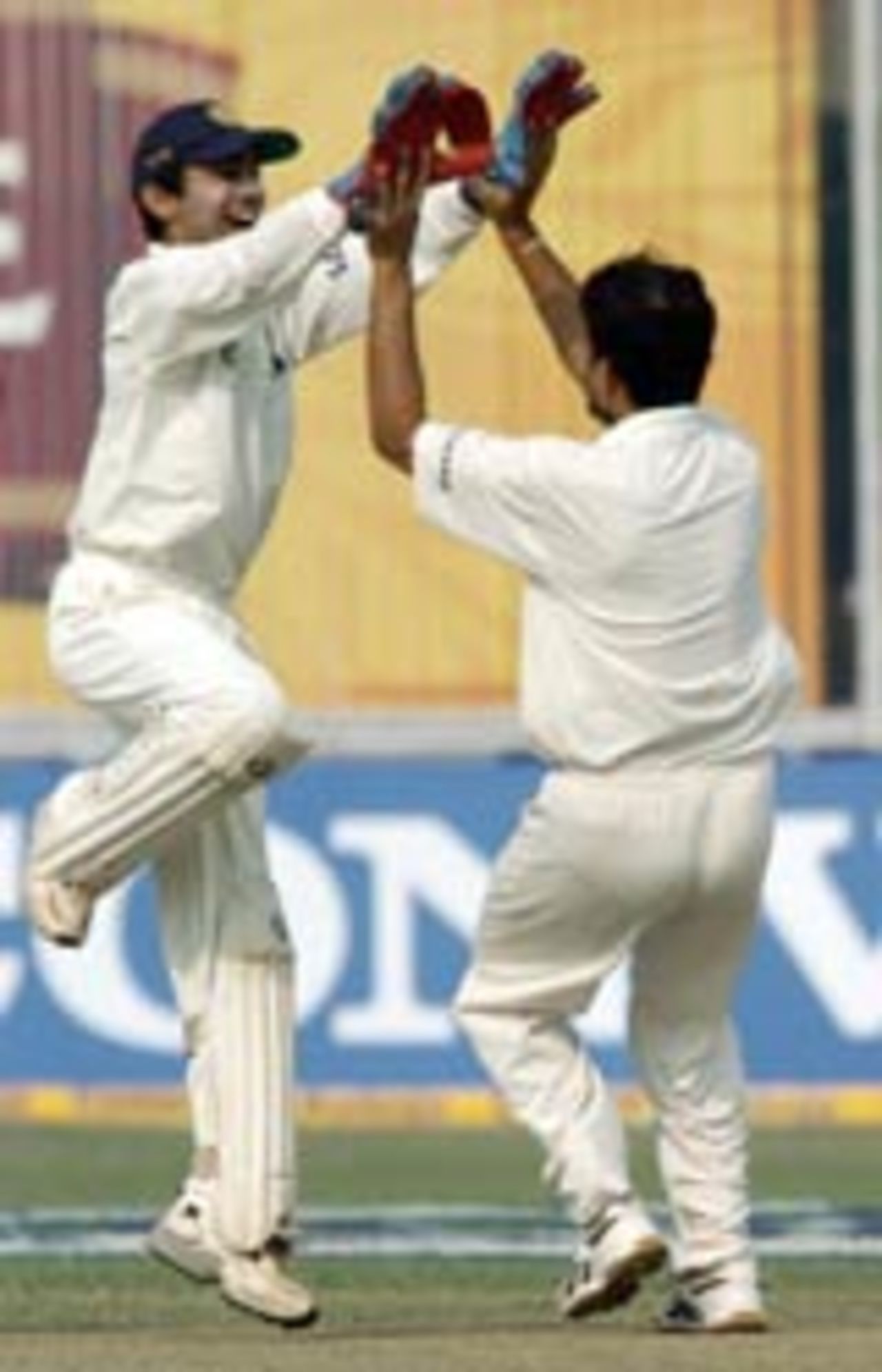 Sourav Ganguly and Dinesh Kaarthick celebrate, 2nd day, 1st Test, Kanpur, India v South Africa, November 21 2004